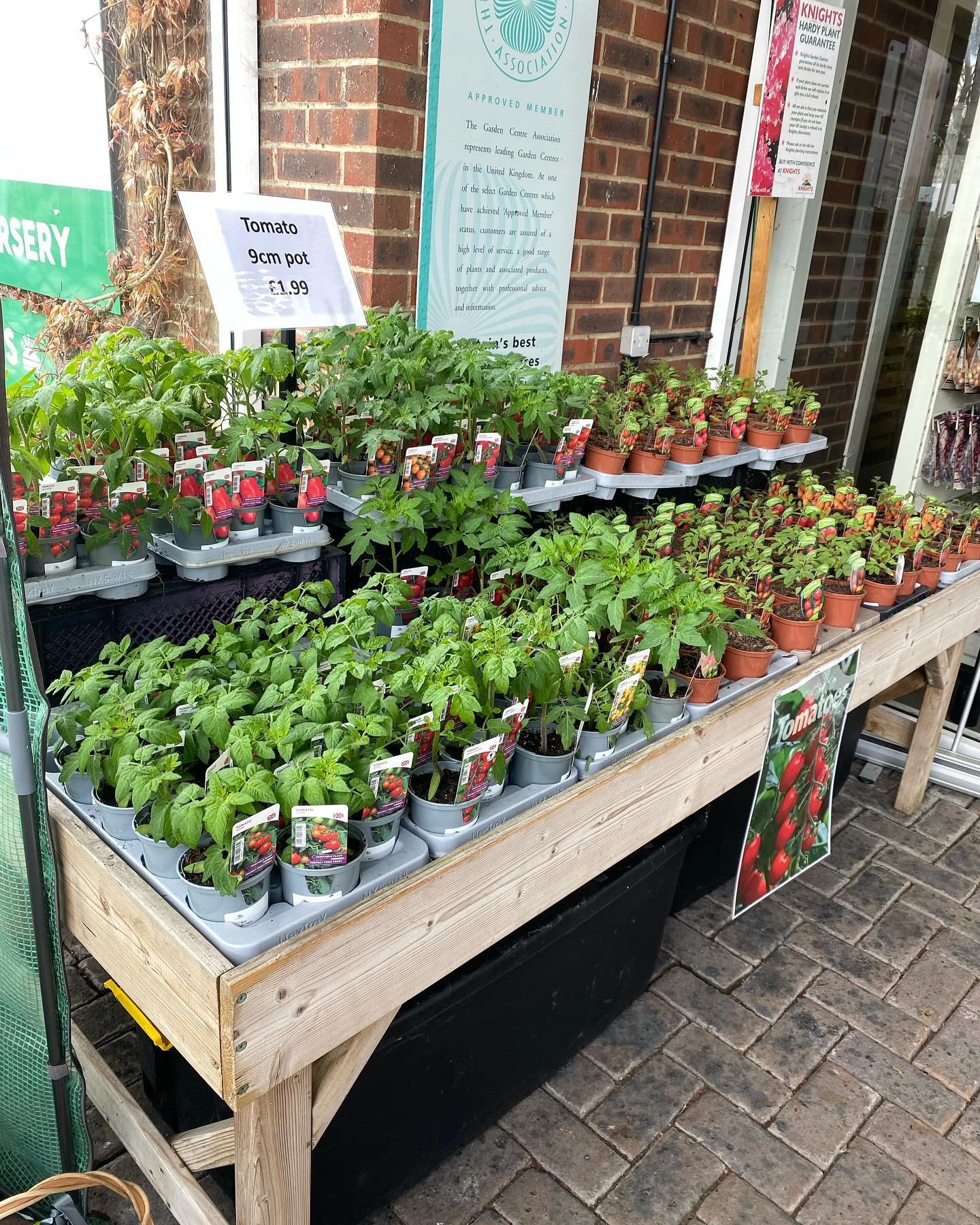 Tomato plants in stock at our Woldingham centre 😃
.
.
.
.
.
#knightsgardencentres #woldingham #tomatoplants #growyourown #allotmentgarden