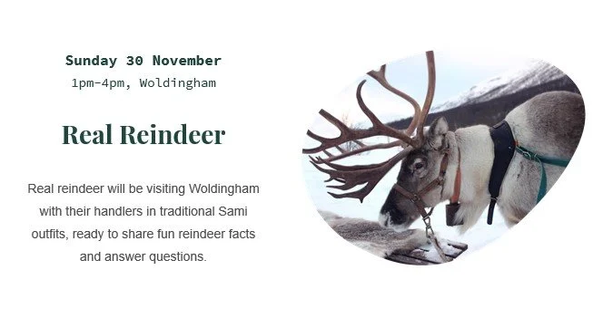 Sunday 30th November
Reindeer will be visiting Woldingham 1pm-4pm
Come armed with lots of reindeer questions!
#knightswoldingham #realreindeer