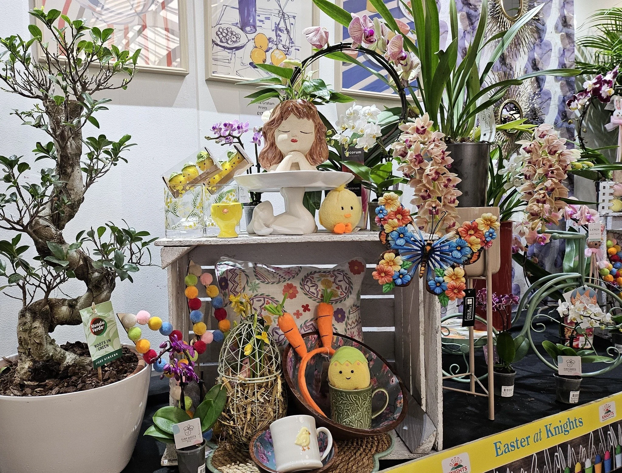 All your Easter needs under one roof plus FREE parking too!
#myknightsgarden #knightswoldinghamchelsham #easter #gifts ##hostinggiftideas