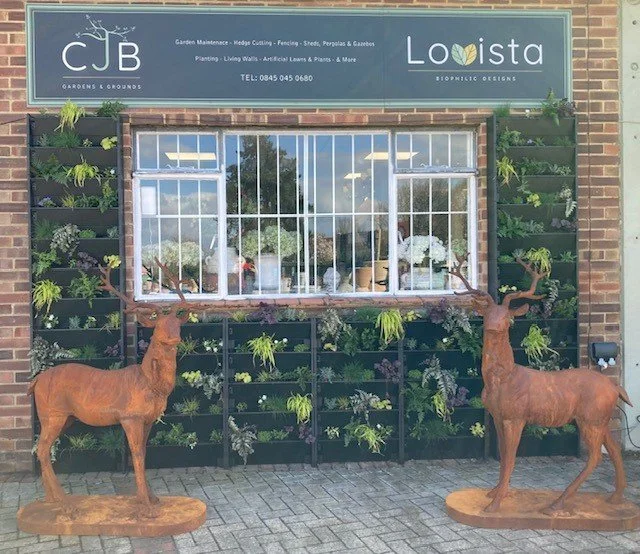 Welcoming our new concession  CJB Garden Maintenance and Lovista to the team at Chelsham. Officially open today so pop in and take a look.
You can find them out the back of the store to the right of the outdoor pots.
#myknightsgarden #knightschelsham