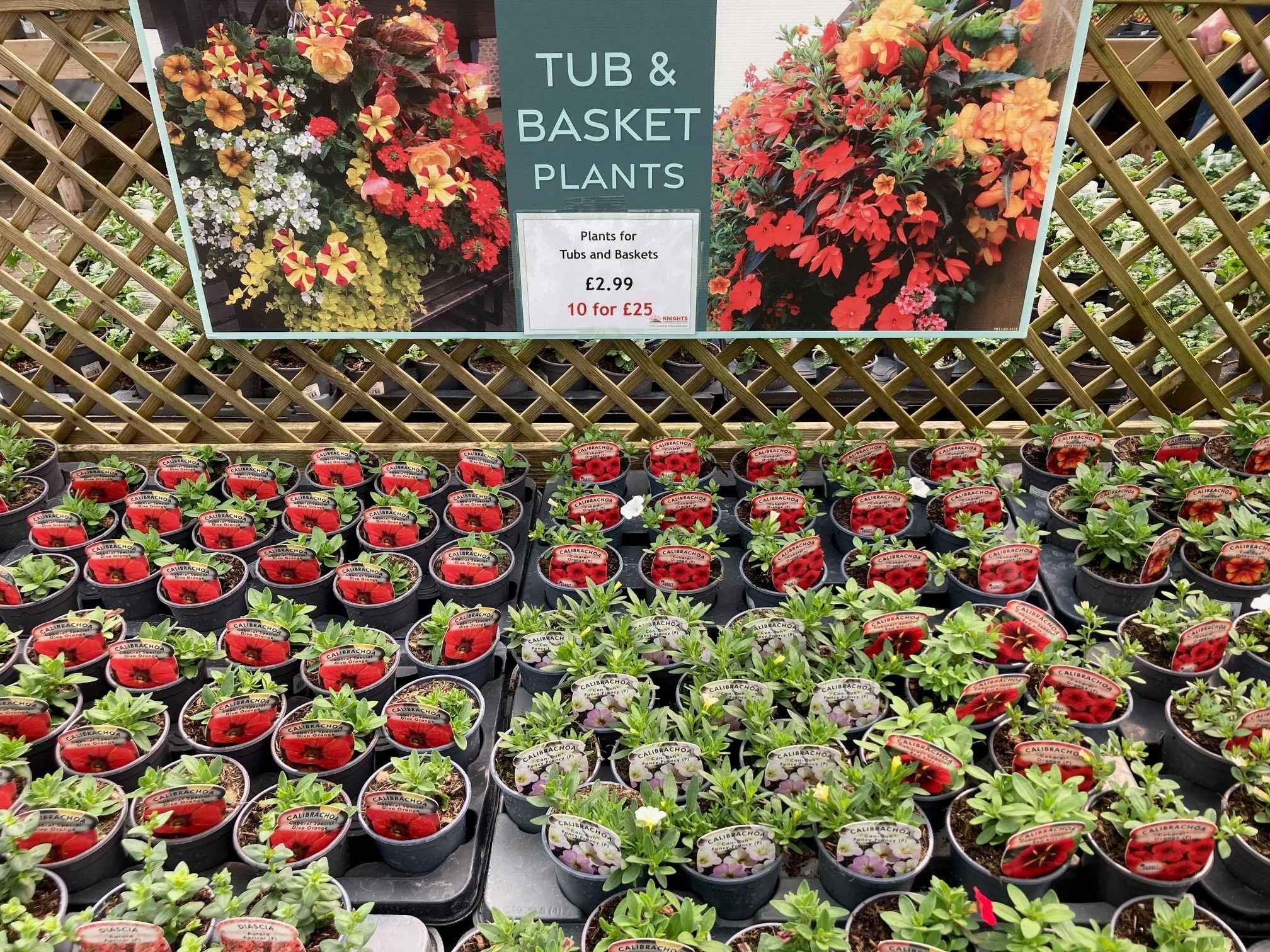 Homegrown by us for you!
#homegrownflowers #homegrownveggies #myknightsgarden #knightswoldinghamchelsham