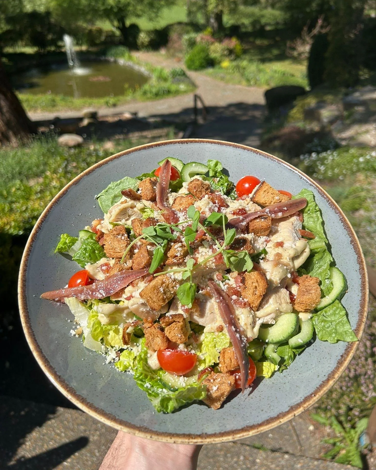 Caesar Salad being served in the sunshine at the Dene today!
#myknightsgarden #knightswoldingham #caesarsalad