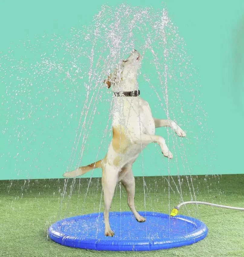 The kids are sorted, now the pets! Keep cool!
Find this Cooler Sprinkler Mat for Dogs 100 x 100 x 2cm &pound;11.99 in our pet department at Chelsham.
#myknightsgarden #knightschelsham #petdepartment #KeepCool 
#keeppetscool #dogsforlife #keephydrated