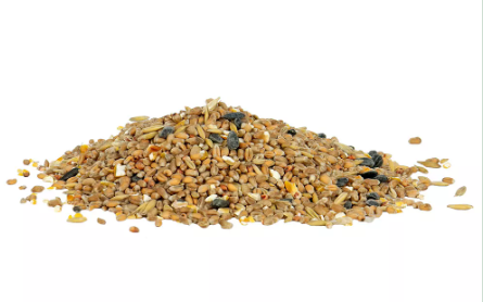 Screenshot 2026-03-20 162013.png