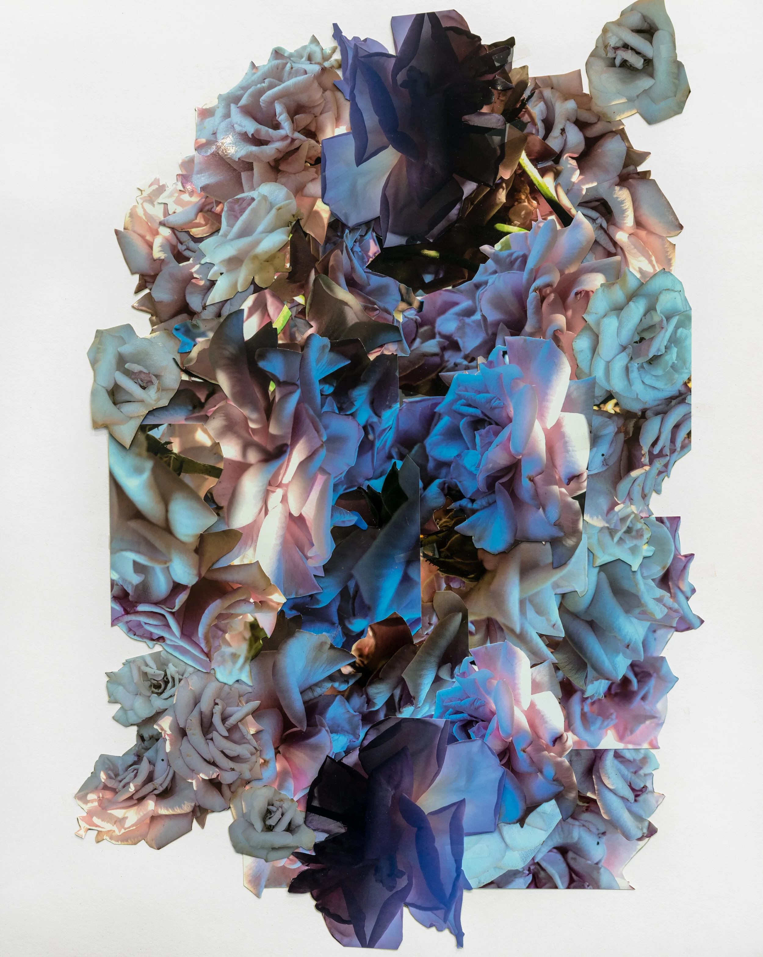 LaurelShear_2018_Collage_HighRes_003.jpg