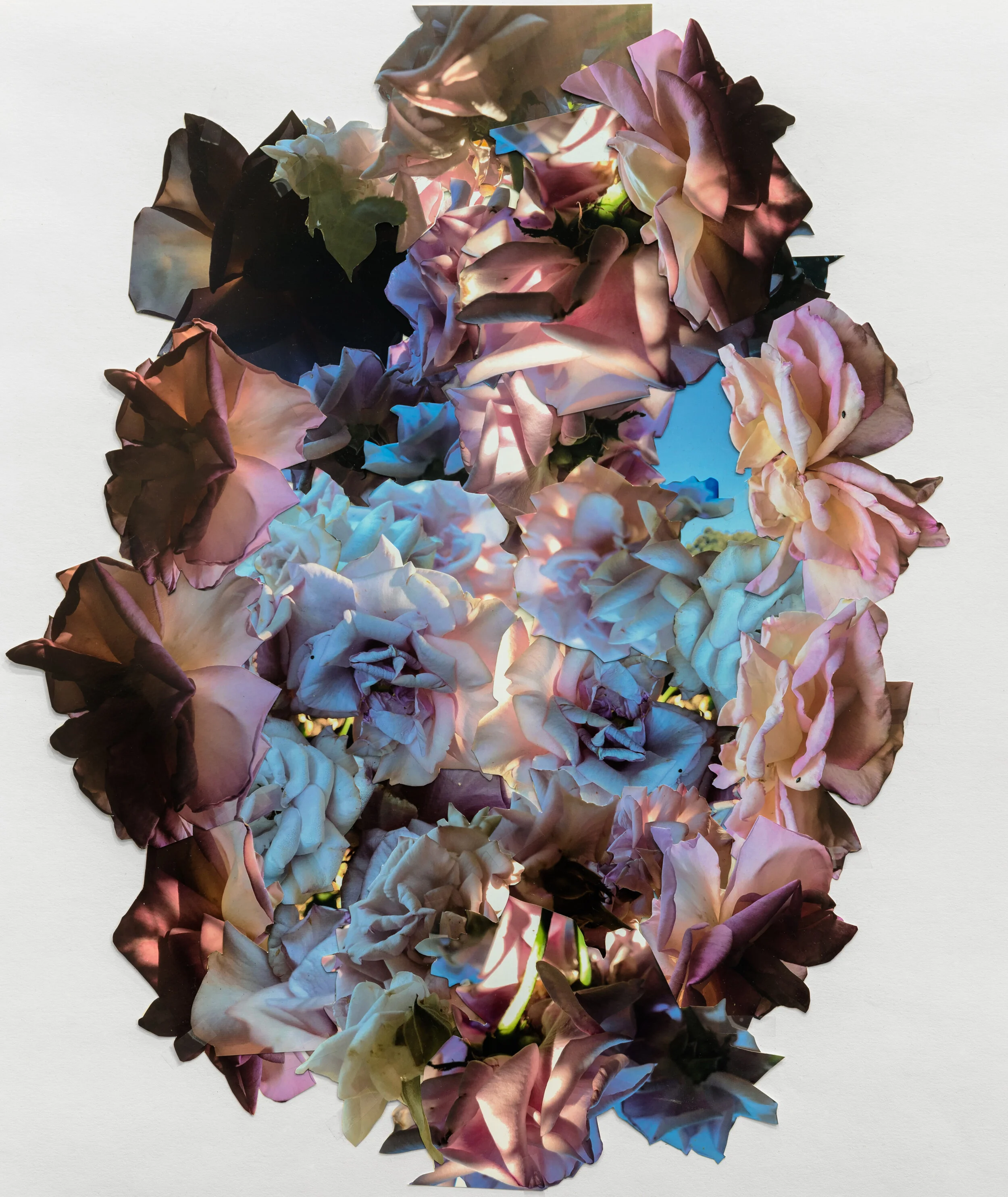 LaurelShear_2018_Collage_HighRes_006.jpg