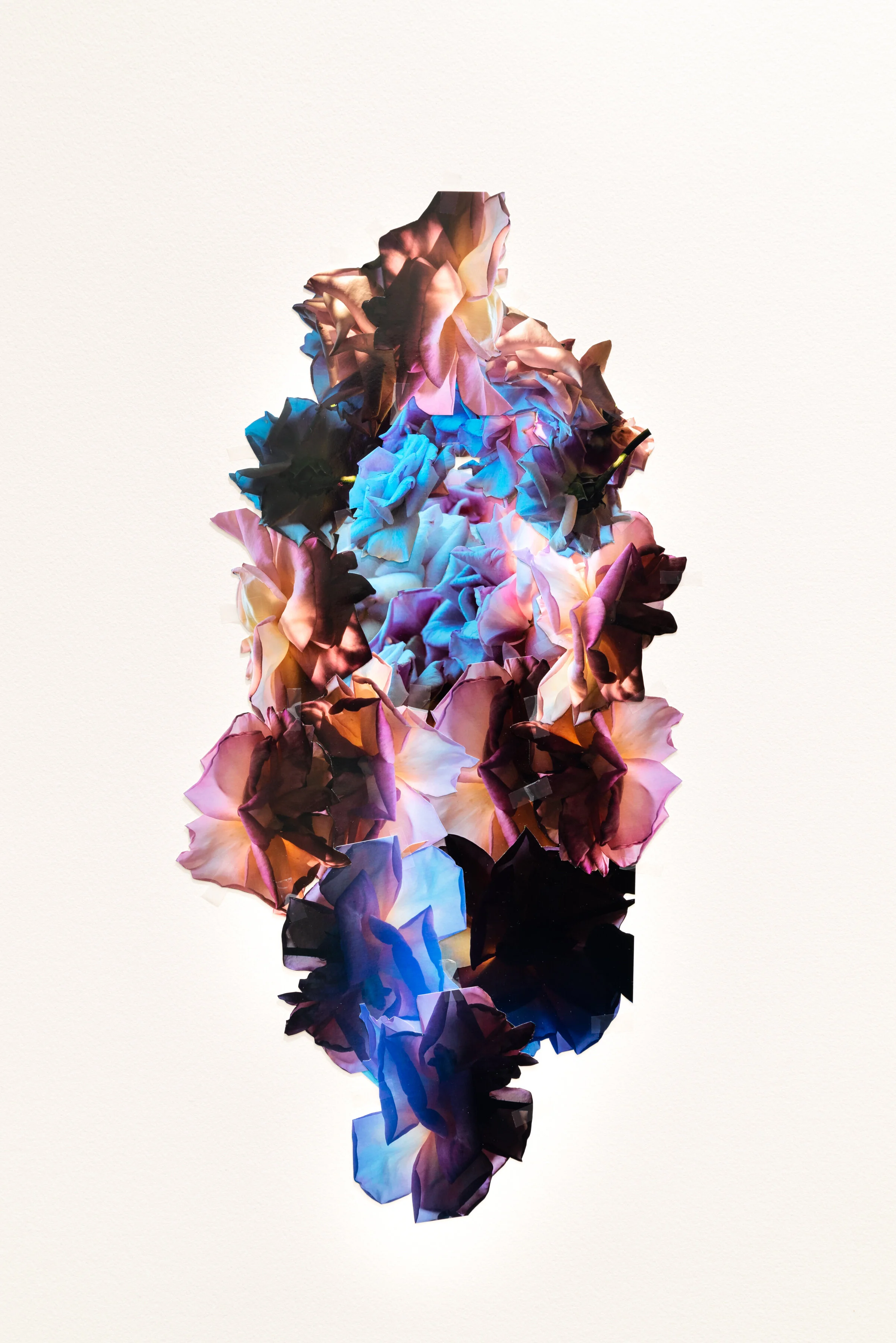 LaurelShear_2019_HighRes_005.jpg