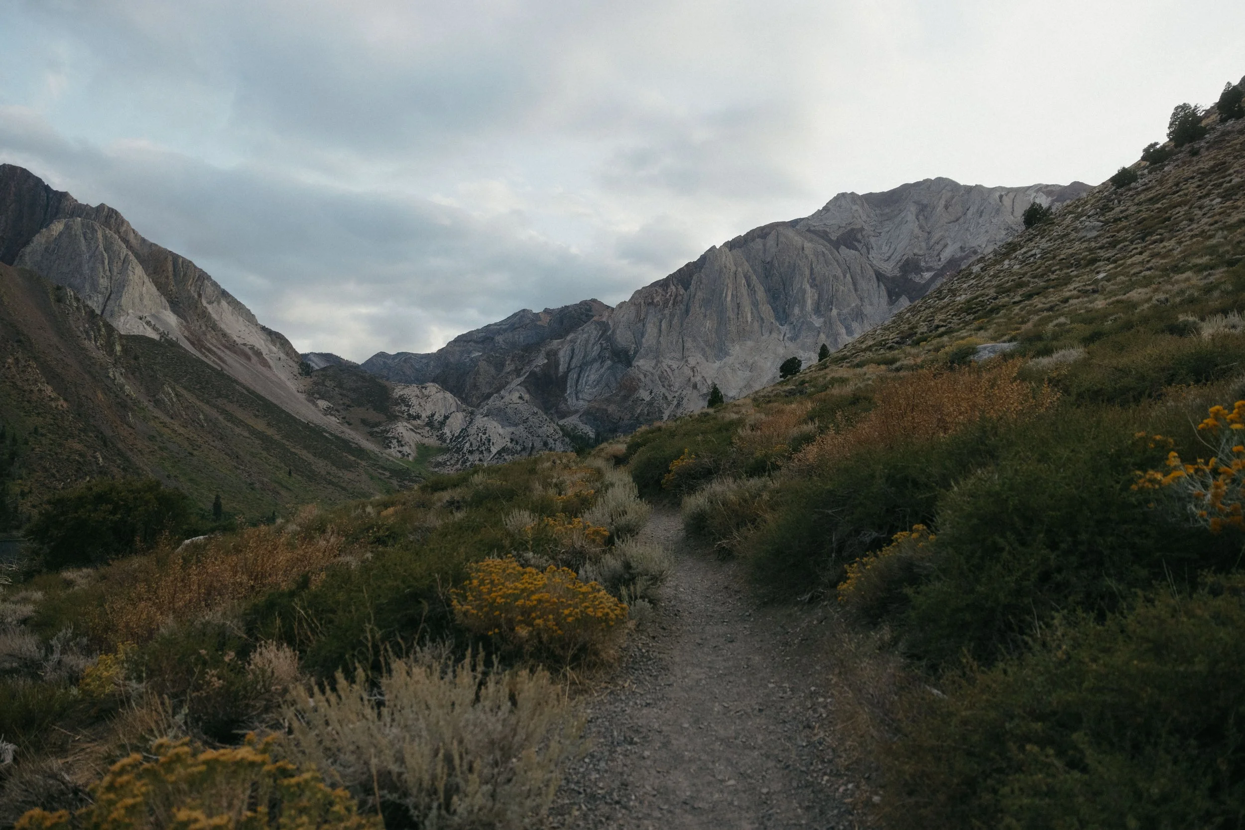 9642 Rising Trail the mammoth — Mammoth Trail Fest