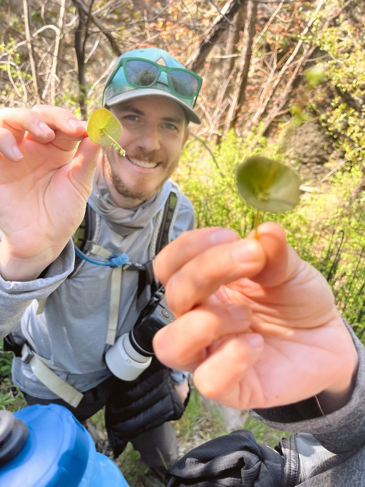 2025 Fest Schedule — Mammoth Trail Fest