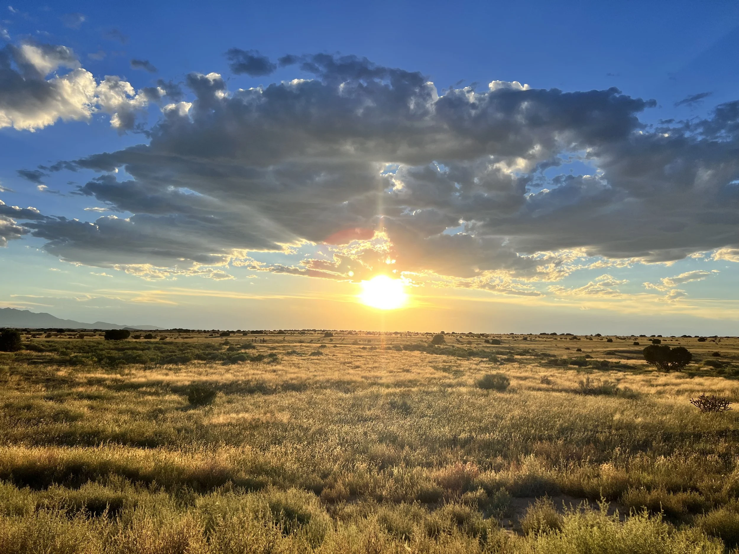 Success Scripts: Friend or Foe