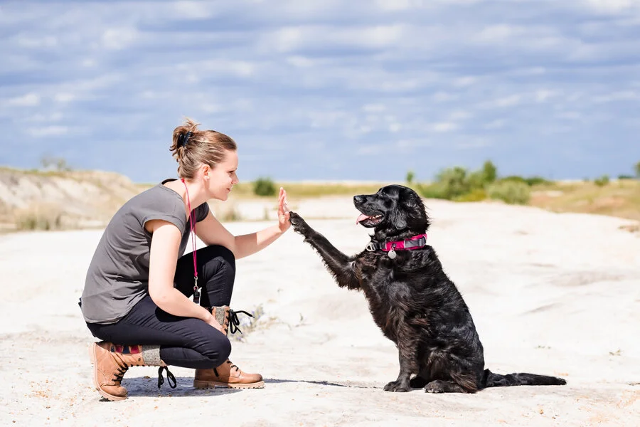 Jo from ProgDog Puppy & Dog Training in Leicestershire and Rutland with her dog Maggie