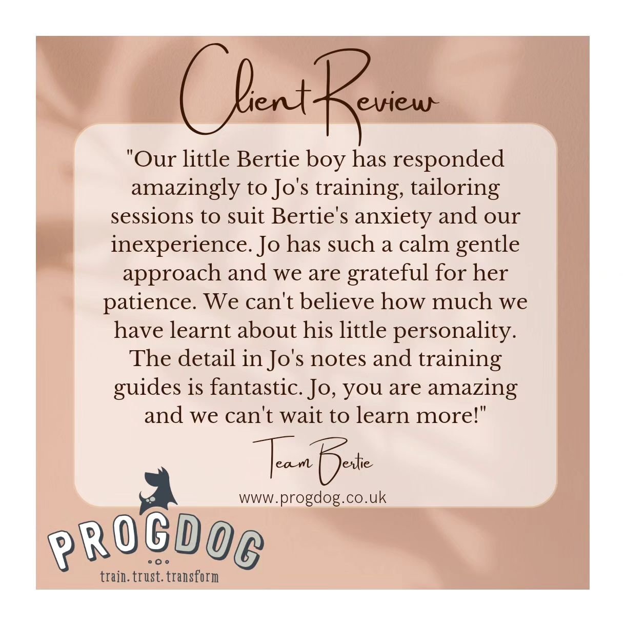 Thank you so much for your lovely review team Bertie! It makes me so happy that you're all enjoying learning so much 🥰 Lots more to come yet, I can't wait too! 🤎🐾🤎
♡
♡
♡
#thankyou #review #recommendation #smallbusiness #feedback #happy #teamwork
