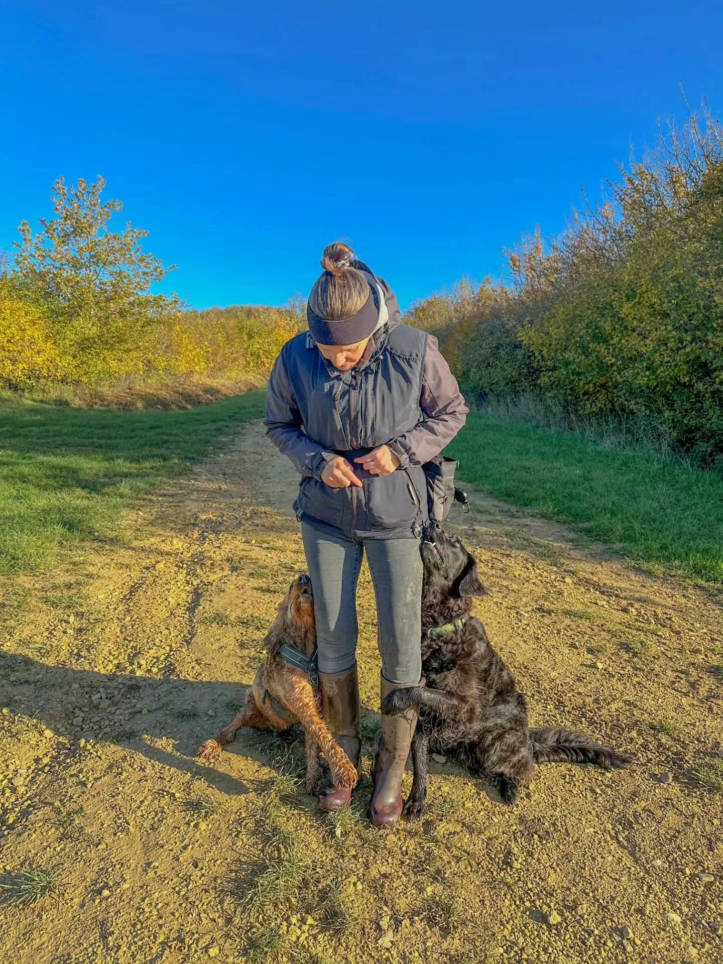 ~ 𝑫𝒐𝒈 𝑻𝒓𝒂𝒊𝒏𝒊𝒏𝒈 𝑾𝒊𝒕𝒉 𝒂 𝑽𝒊𝒆𝒘 ~
Countryside, peace and quiet, dogs having a great time and training Otto as we go. It's not a bad office this, hey? 🤎