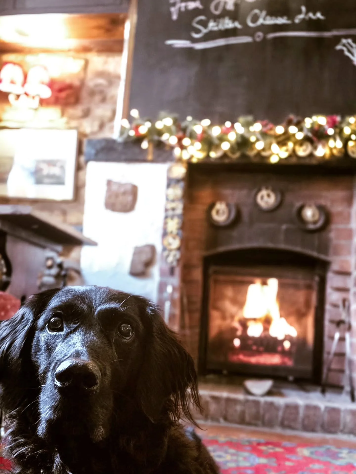 ~ 𝑾𝒉𝒂𝒕 𝑫𝒂𝒚 𝑰𝒔 𝑰𝒕? ~

Nobody knows 🤦&zwj;♀️ I hope everyone has had a lovely Christmas! I've barely taken any photos as we've been so busy with family. We had the most amazing Christmas day and spent a few hours at our favourite pub...good