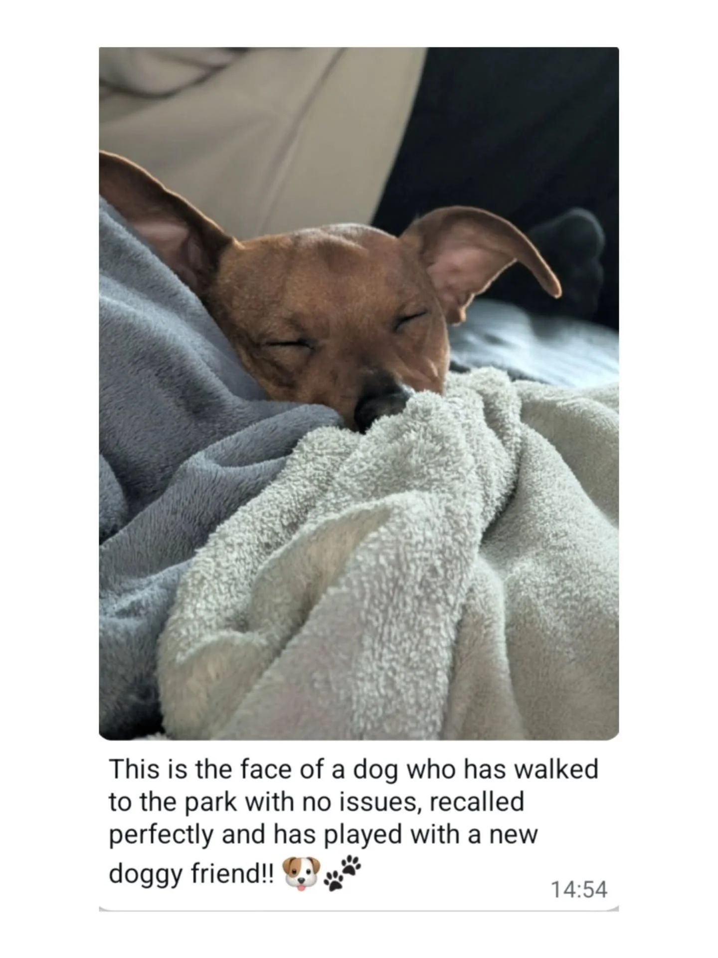 ~ 𝑾𝒉𝒆𝒏 𝒀𝒐𝒖 𝑮𝒆𝒕 𝒂 𝑴𝒆𝒔𝒔𝒂𝒈𝒆 𝑭𝒓𝒐𝒎 𝒀𝒐𝒖𝒓 𝑪𝒍𝒊𝒆𝒏𝒕 ~

I am SO proud, my heart is bursting! Way to go Stanley! 🥳🥰🤎