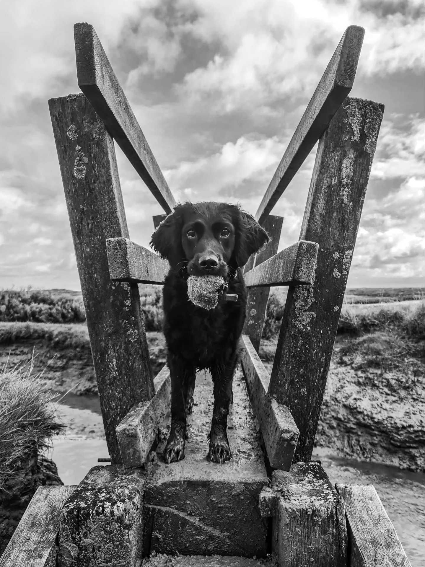 ~ 𝑨𝒓𝒆 𝒀𝒐𝒖 𝑪𝒐𝒎𝒊𝒏𝒈? ~

Weekend ready 🤎