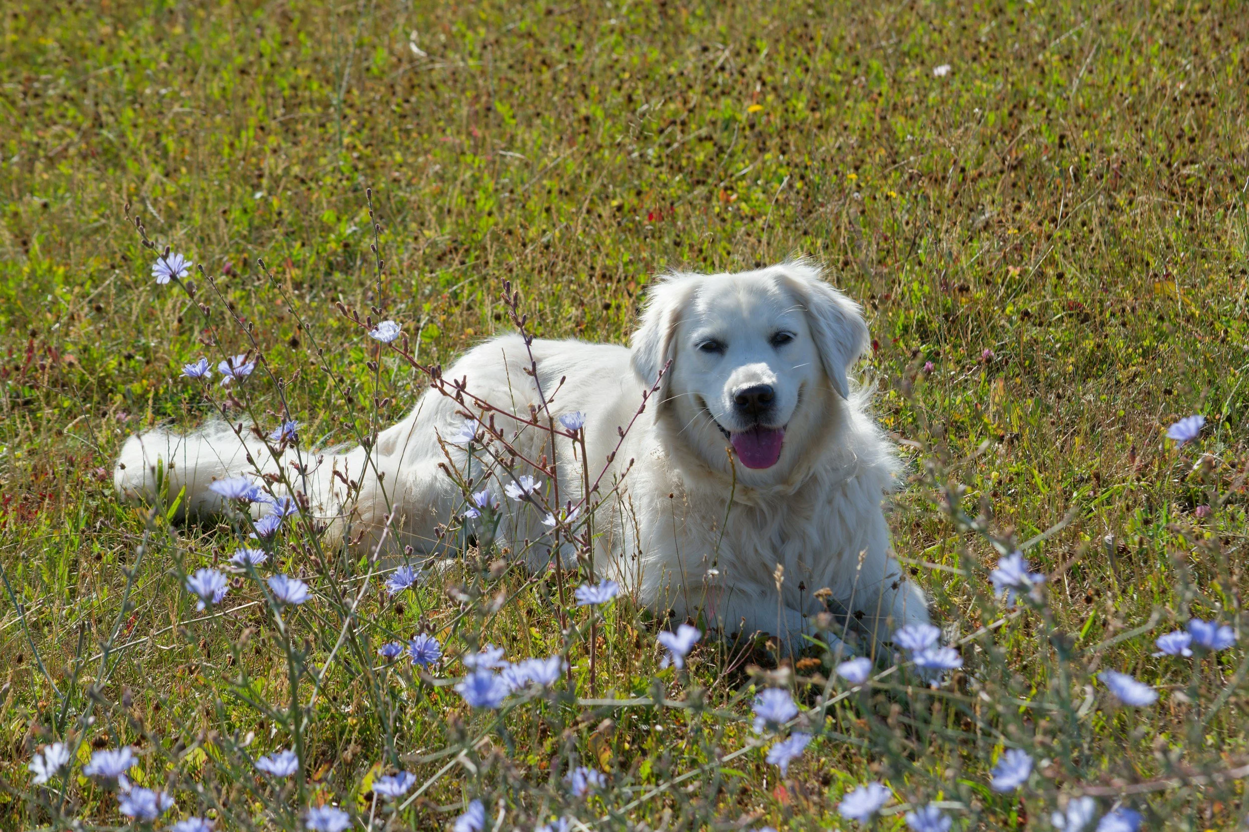 Location, Location, Location