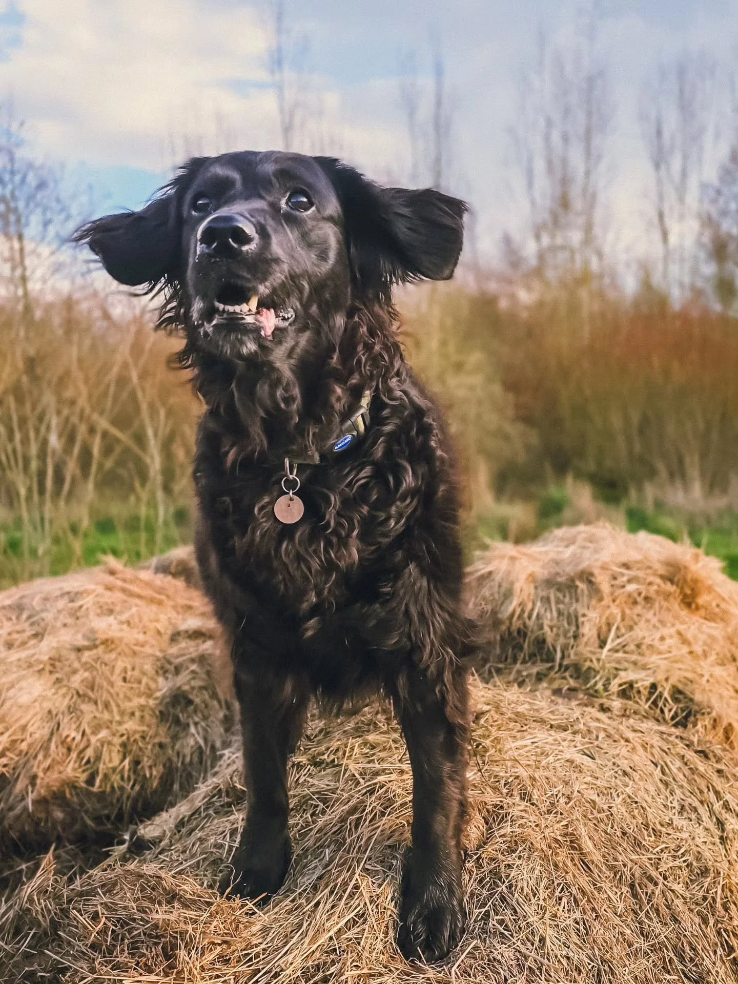 ~ 𝑩𝒂𝒄𝒌 𝑻𝒉𝒖𝒓𝒔𝒅𝒂𝒚! ~

Looks like we chose the perfect few days off to stretch out the bank holiday weekend weather wise! 👌 Back Thursday! 🤎