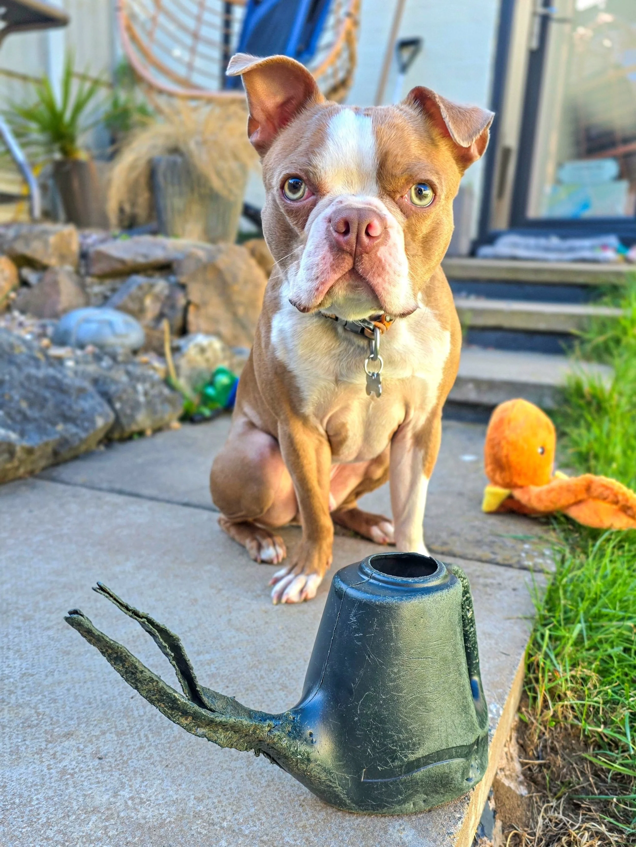 ~ 𝑱𝒖𝒔𝒕 𝒂 𝑩𝒐𝒚 𝒂𝒏𝒅 𝒉𝒊𝒔 𝑾𝒂𝒕𝒆𝒓𝒊𝒏𝒈 𝑪𝒂𝒏 ~

There he is. With his favourite watering can. It's battered, but loved and it's his favourite thing in the entire world 😍 

The progress Lenny is making is beautiful and it makes my heart