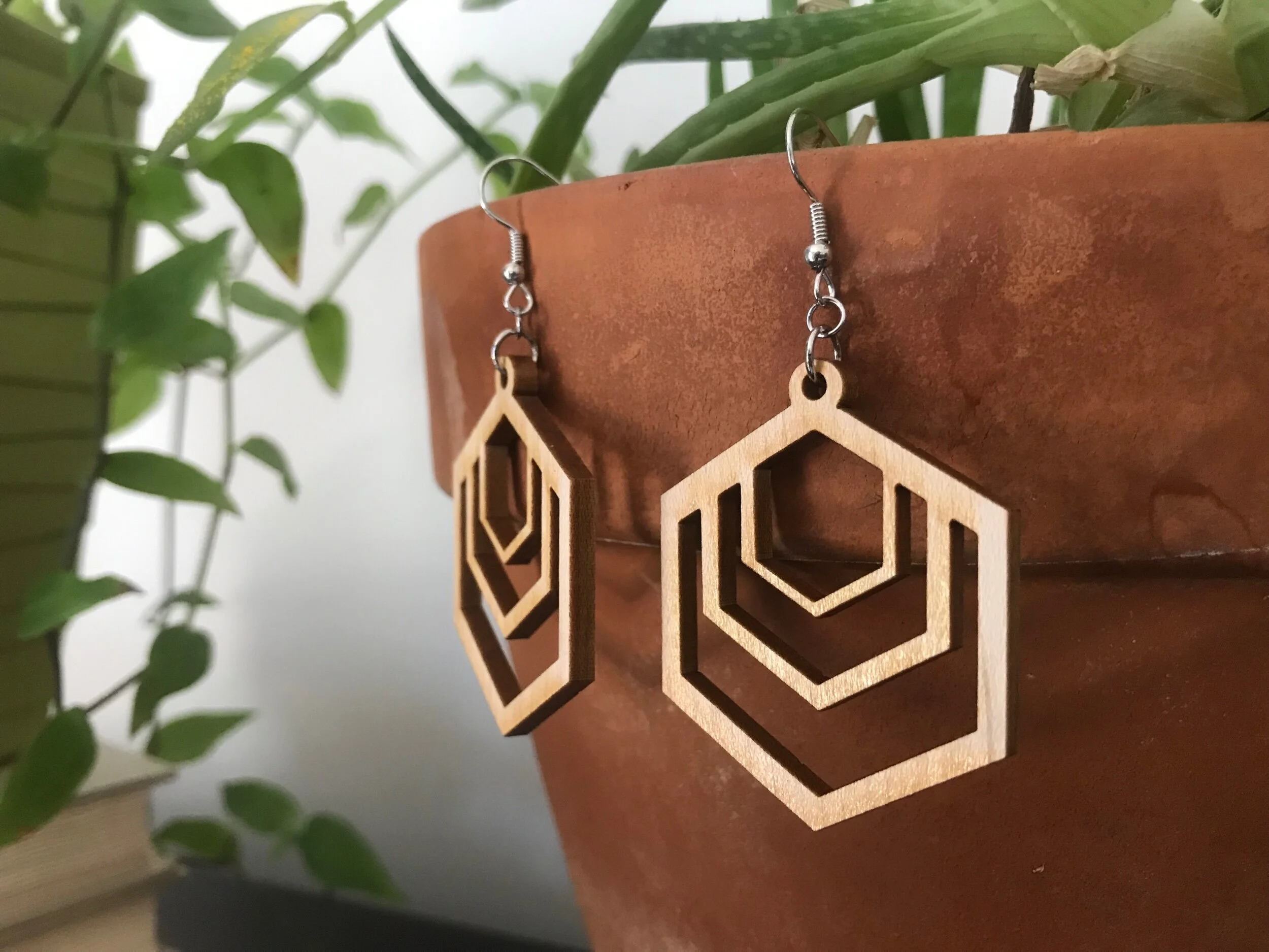 A1359FD3-64D4-4421-9B2C-E84FD24DE540