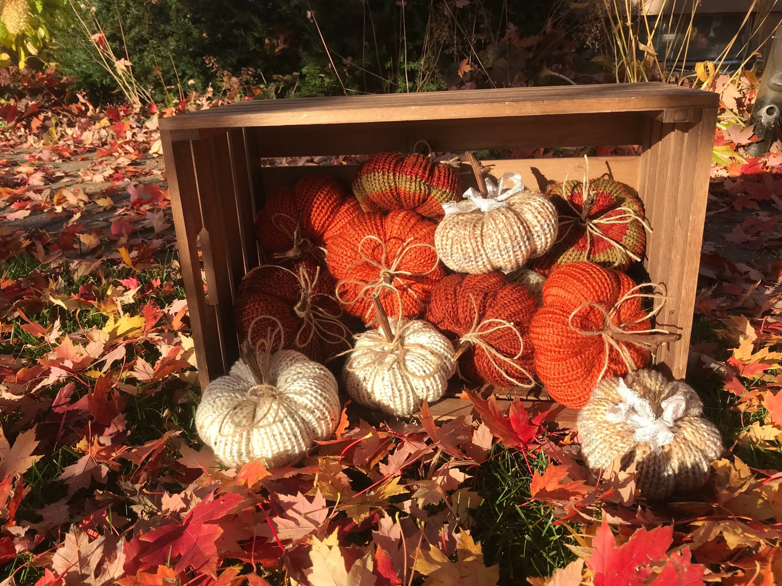 C520D0C3-5A7F-4158-B2AD-BF86DA27E0AE