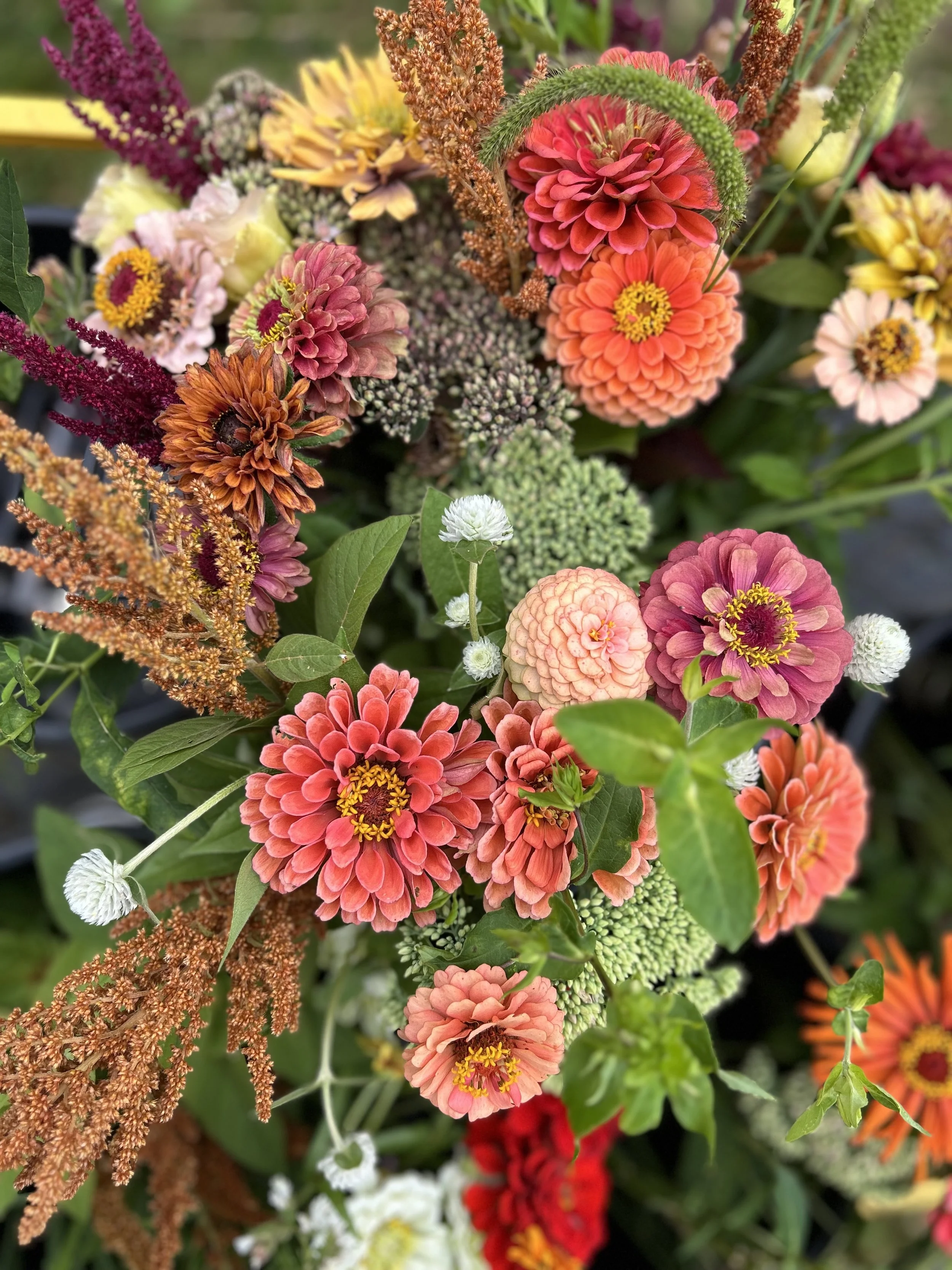 Summer 2026 Flower Subscription  (10 weeks)