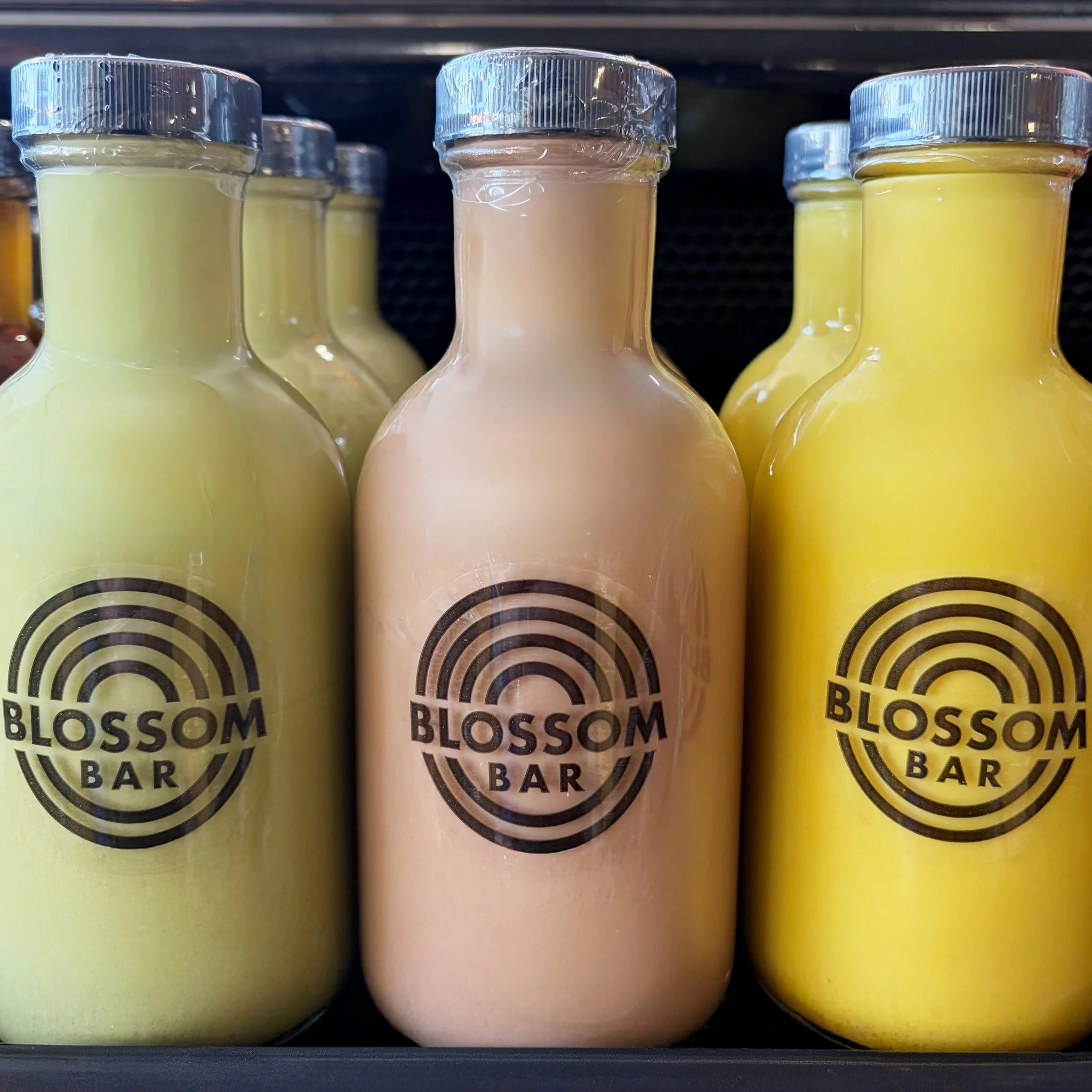 These house-made nut milks just hit different. 

Matcha with condensed coconut milk and warming spices
Cacao with date syrup
Golden milk with ginger and turmeric

Cashew based. All made in-house. All dairy-free.

#cashewmilk #vegan