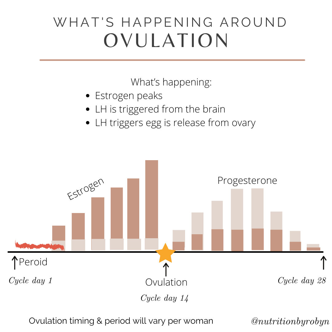 Here's how ovulation works....⠀⠀⠀⠀⠀⠀⠀⠀⠀
.⠀⠀⠀⠀⠀⠀⠀⠀⠀
📈 First half of your cycle (follicular phase): estrogen production rises juuuuust before ovulation.⁣⠀⠀⠀⠀⠀⠀⠀⠀⠀
⁣⁣⠀⠀⠀⠀⠀⠀⠀⠀⠀
⭐️ This rise in estrogen triggers a LH (luteinizing hormone) surge which tri