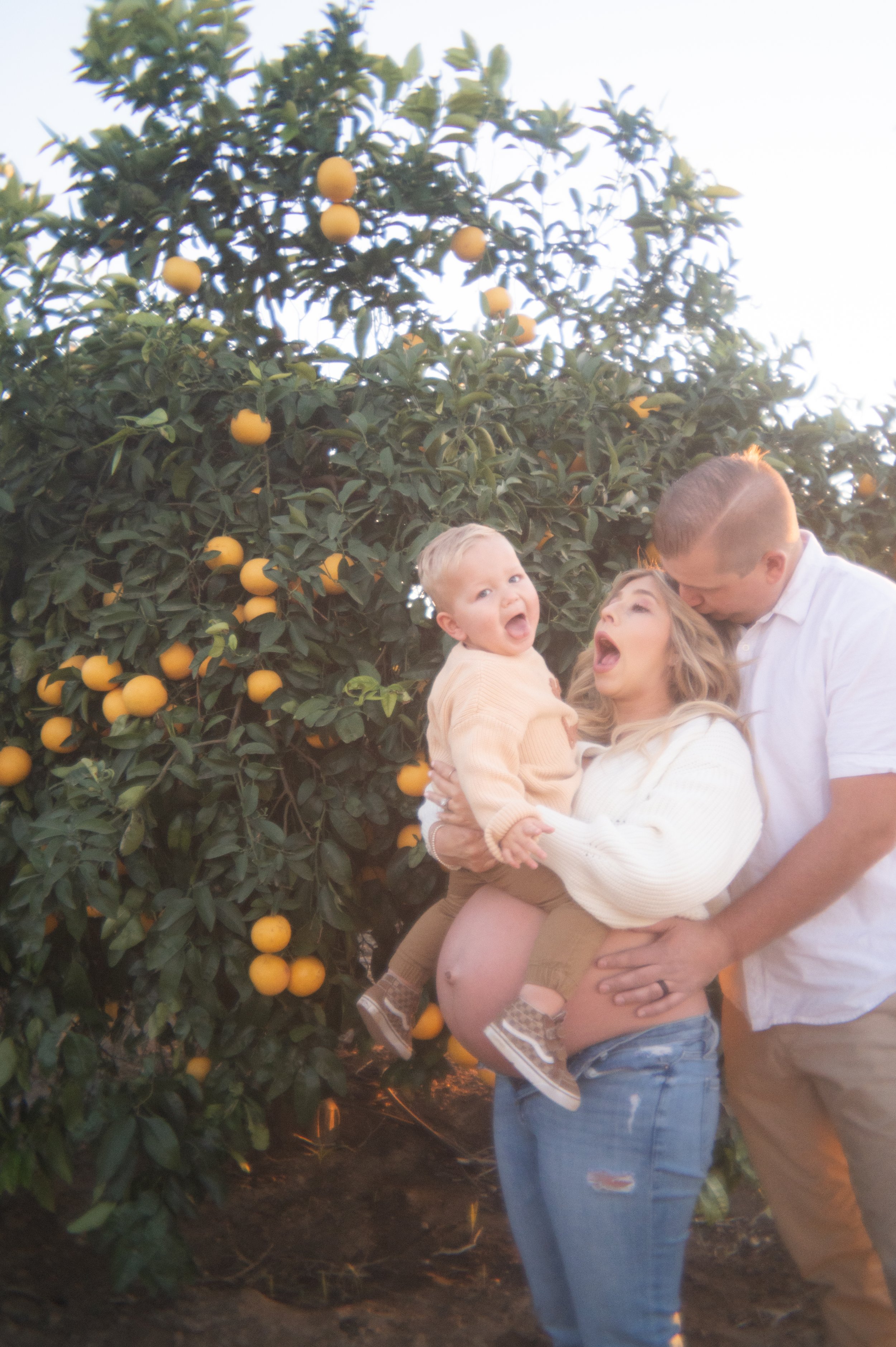 orange grove