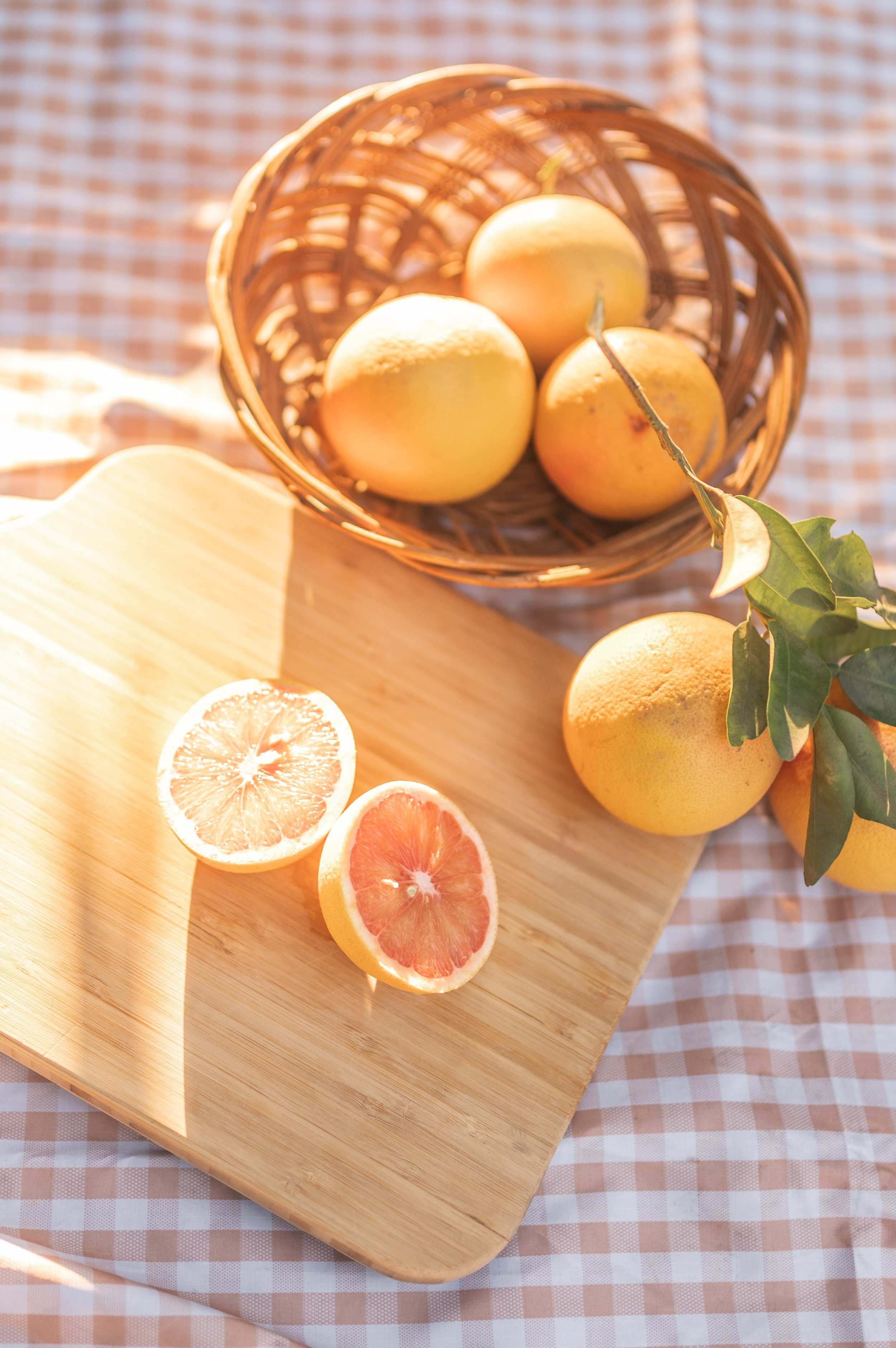 orange grove