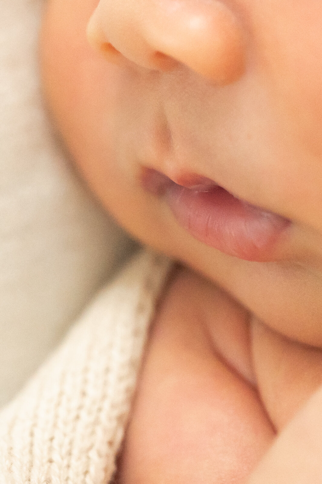 Corona Newborn Sessio