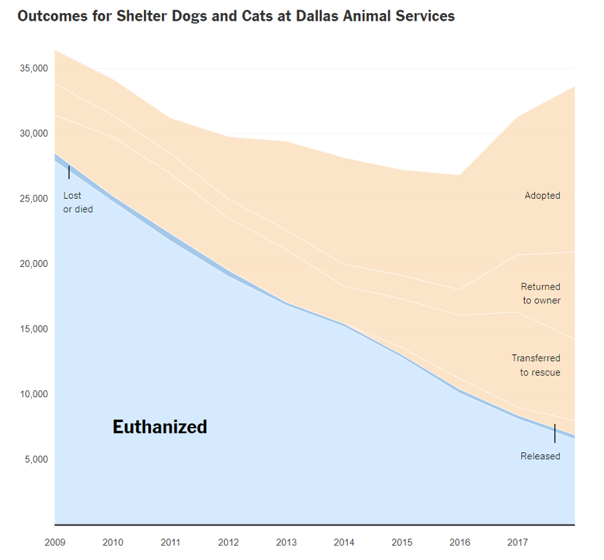 Outcome for shelter animals