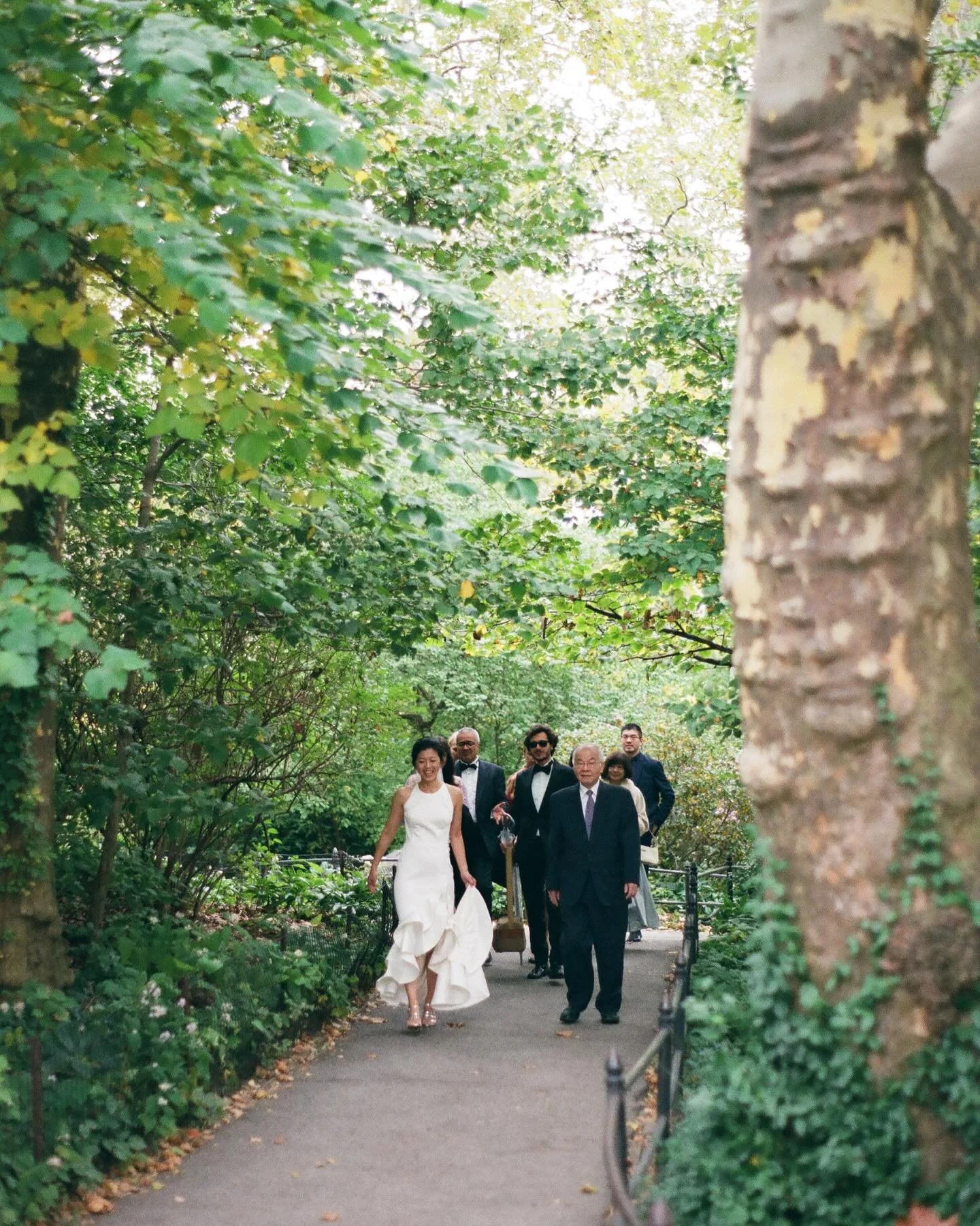 35mm slides from Sunny and Oz&rsquo;s beautiful and intimate summer Central Park elopement at the Ladies Pavilion. It just never gets old, being able to distance yourself from the chaos of Manhattan. We ended with portraits at Bethesda Terrace to the