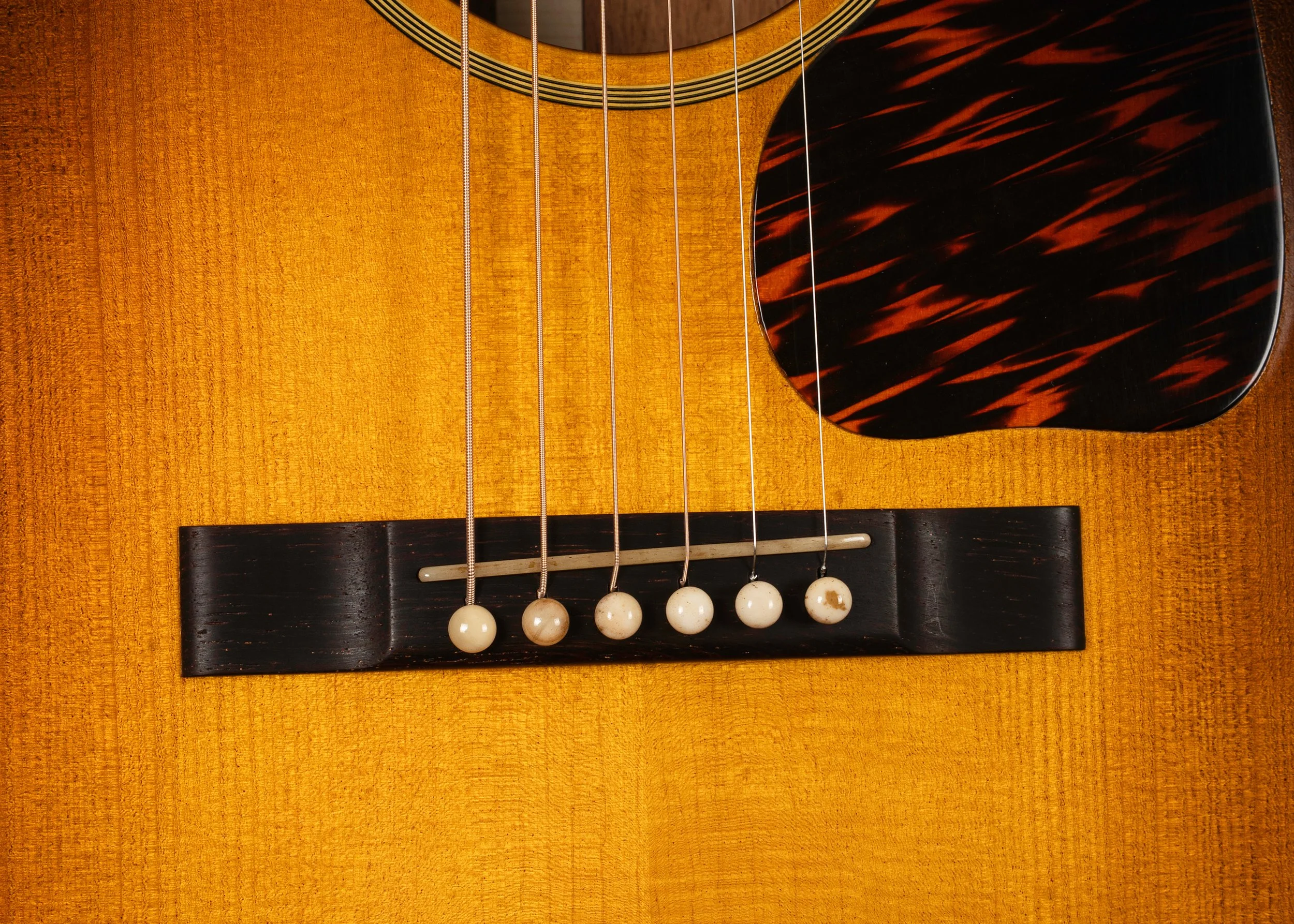 0226395_14 copy.jpg