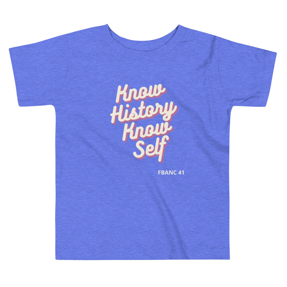 toddler-premium-tee-heather-columbia-blue-front-60a822a91a9a8.jpg