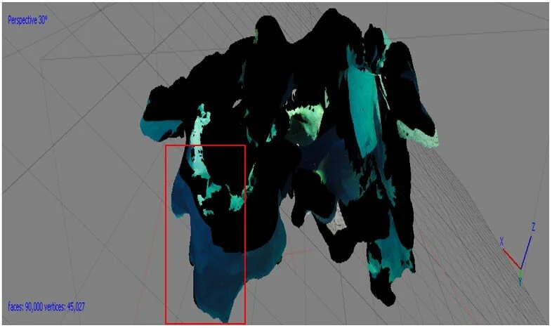 photogramm scan_2.jpg