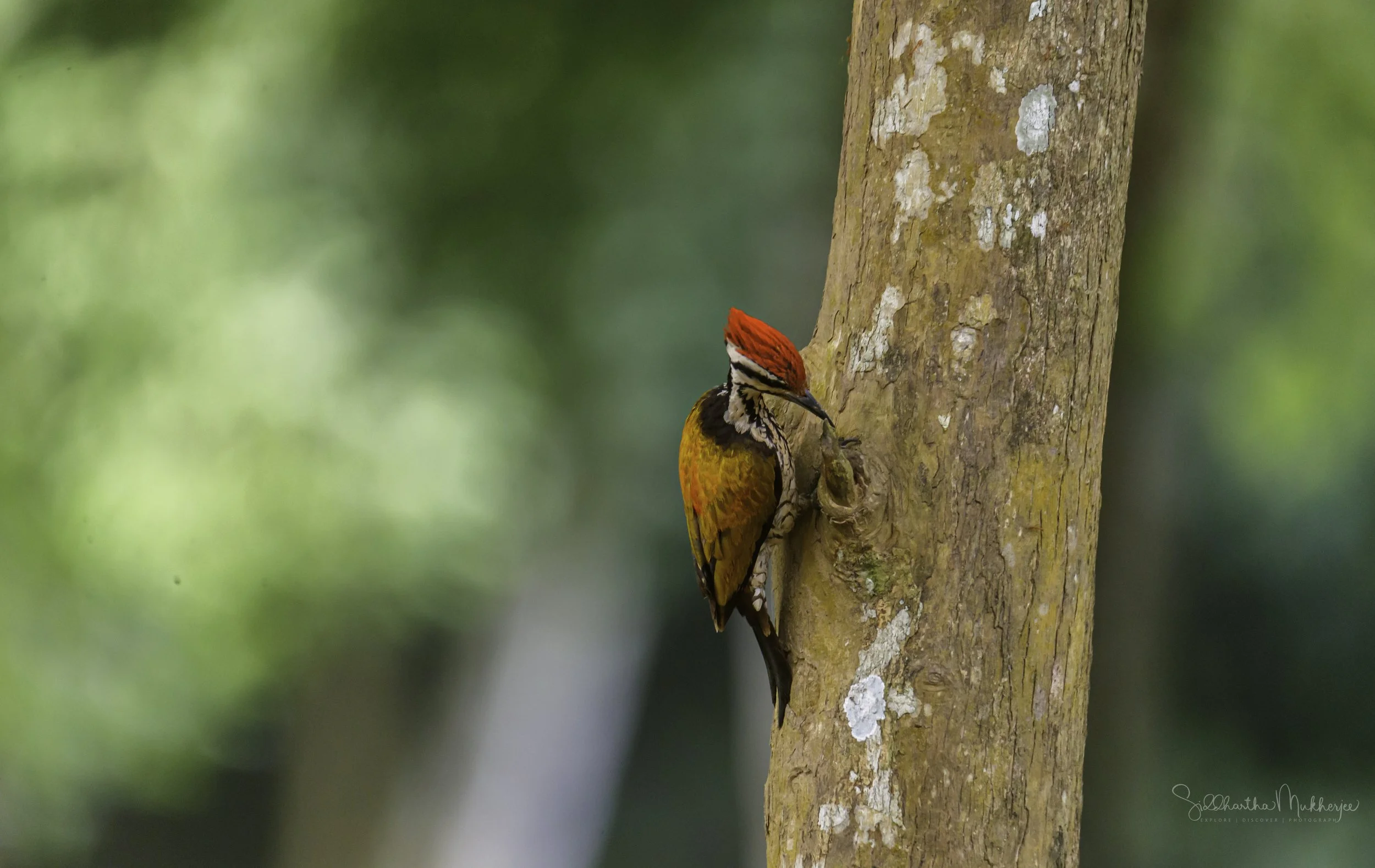 20190614-1DX22797.jpg