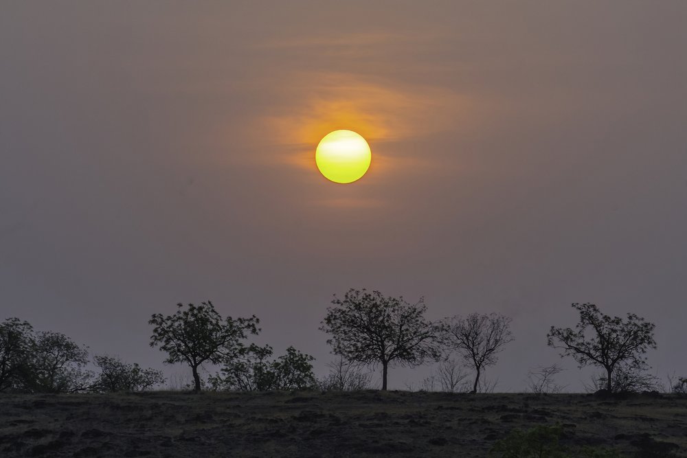 Sunrise over parched Indapur grasslands
