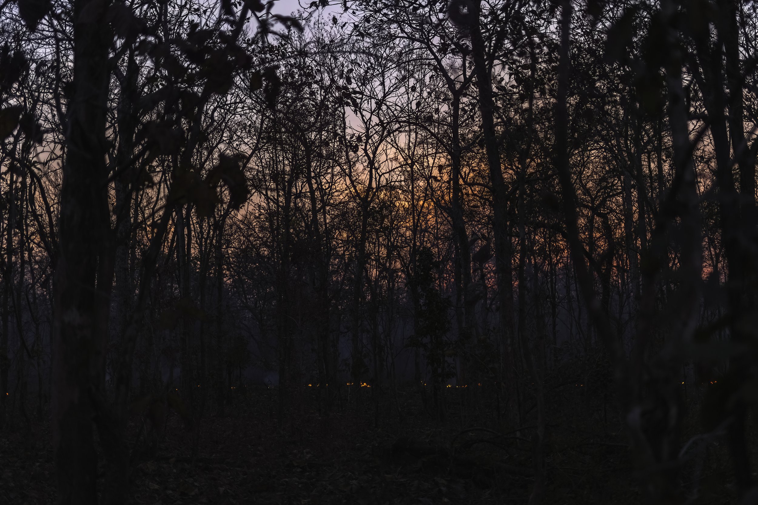20250227-1DX25956-DN.jpeg