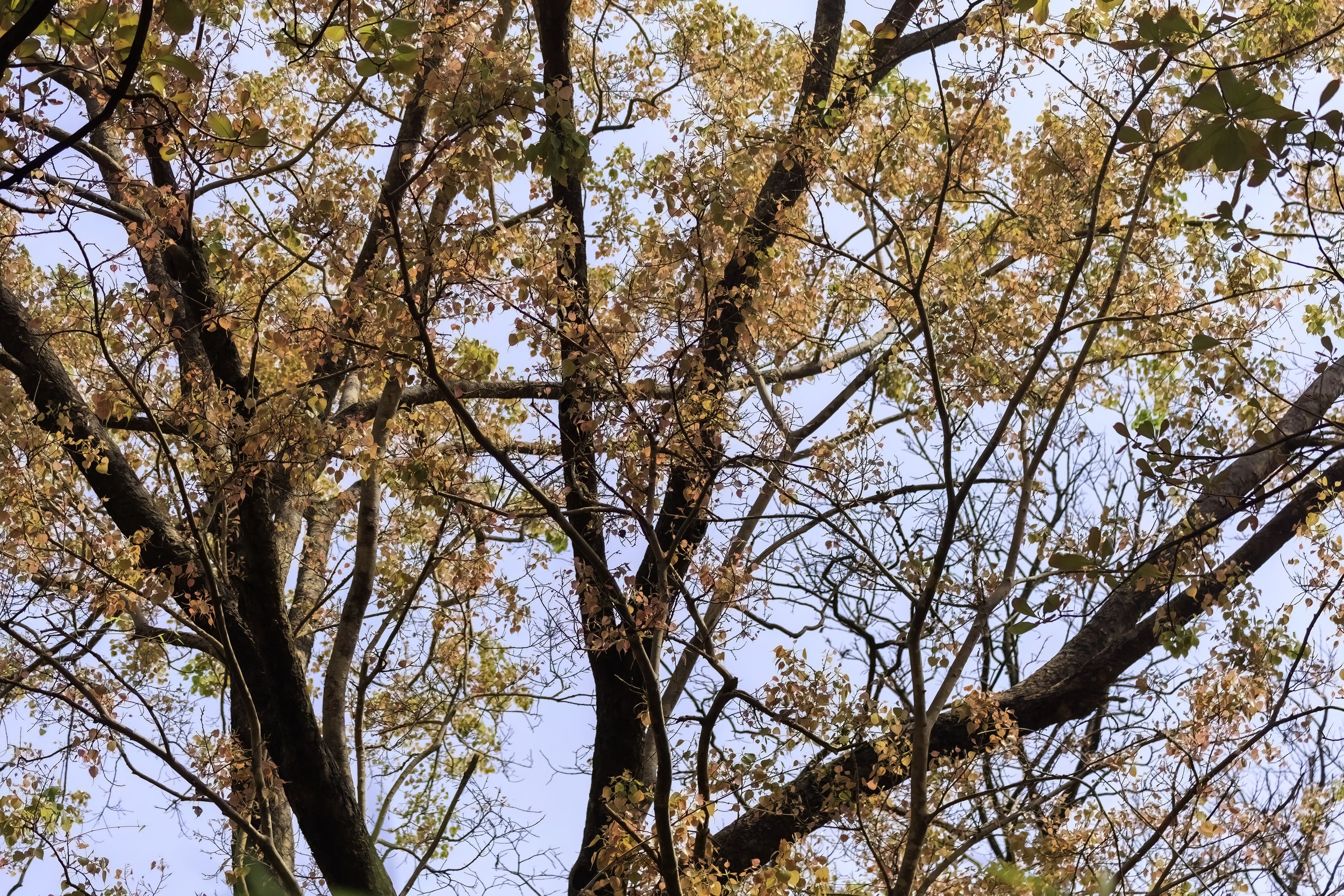 20250502-1DX22755-DN.jpeg