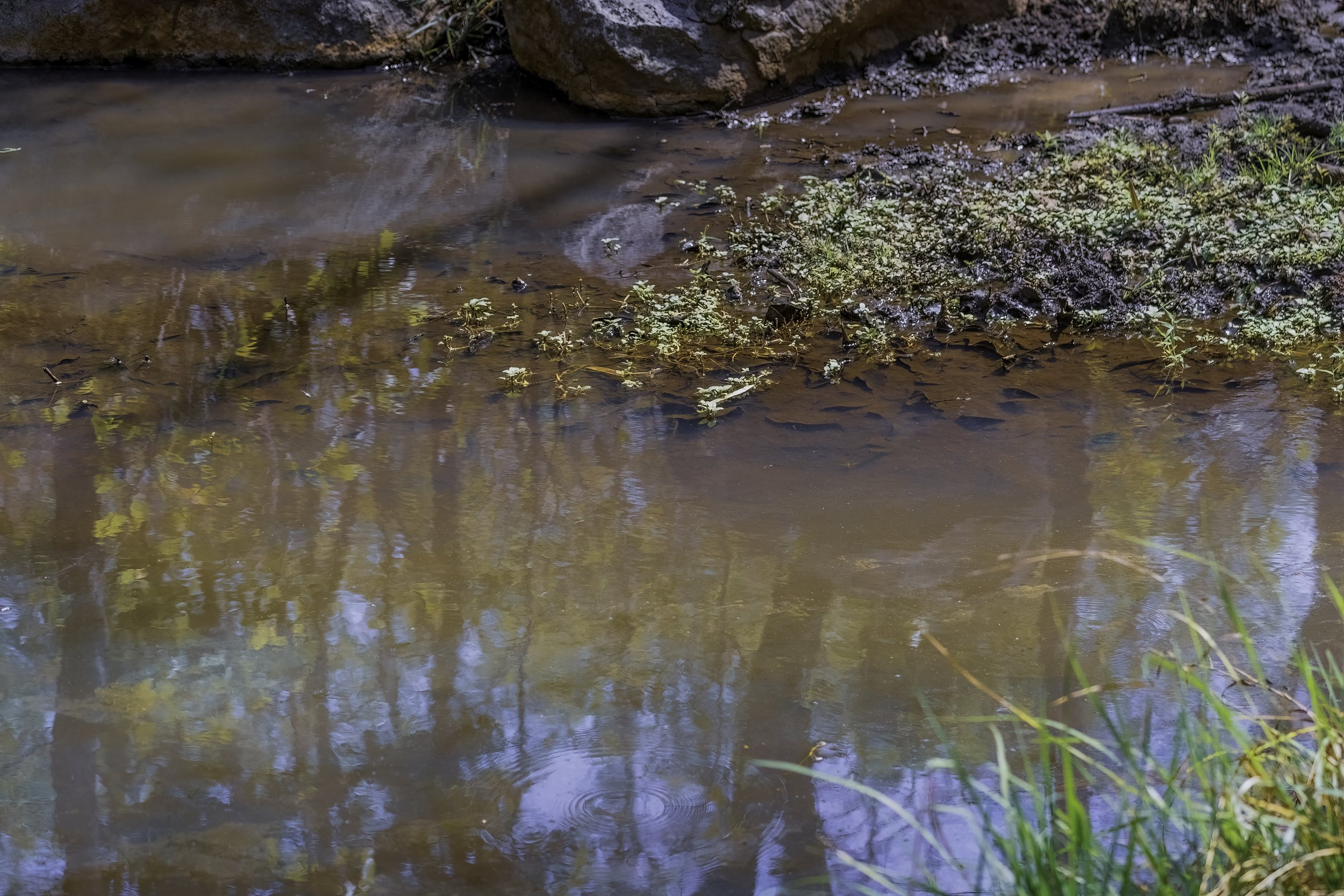 20250502-1DX22809-DN.jpeg