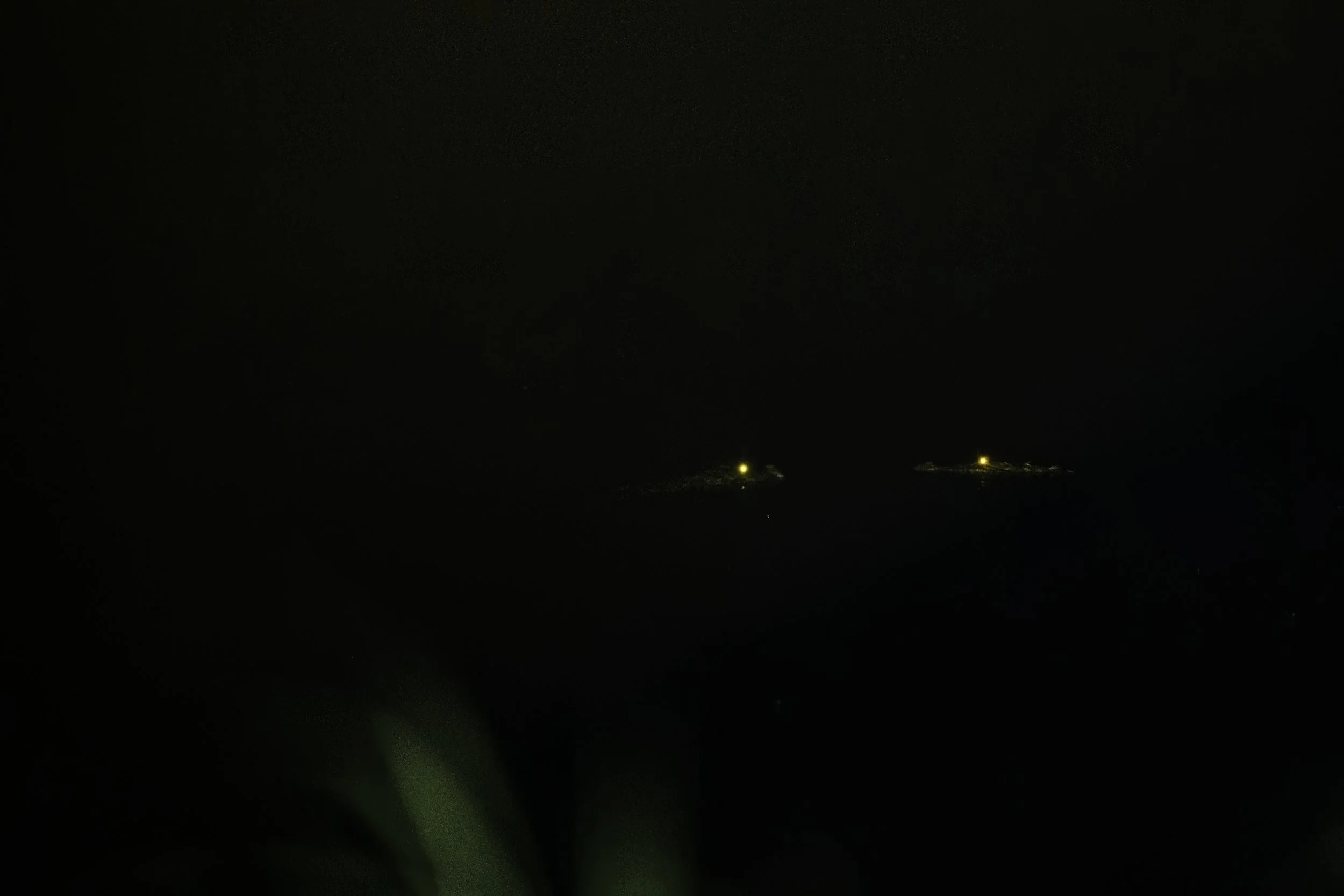 Mugger Crocodiles - Godavari River - WildArtWorks