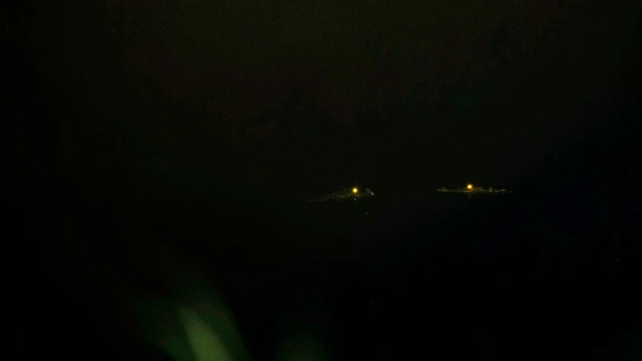 The Godavari Mugger, Godavari River, Telangana