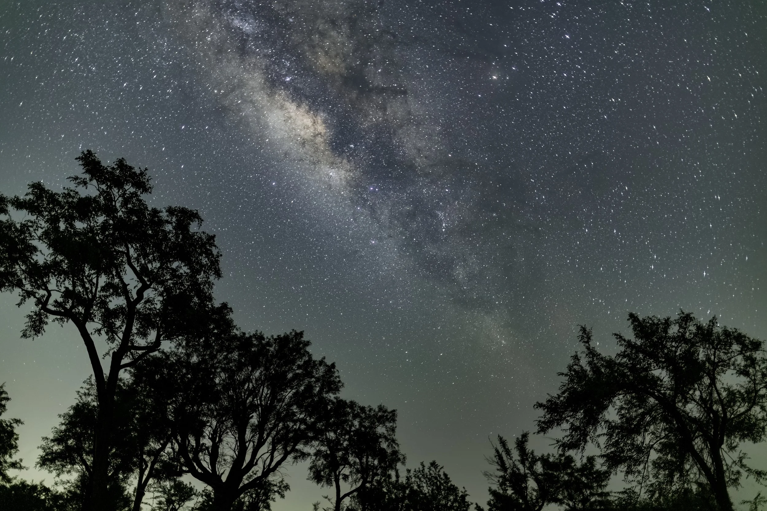 Milky Way - Amrabad Tiger Reserve - WildArtWorks