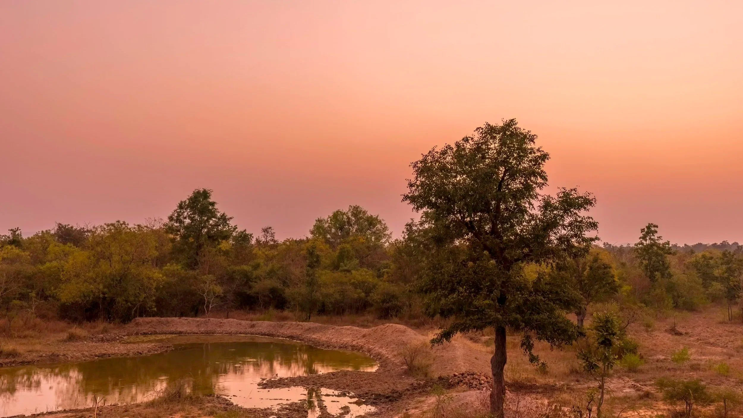 Amrabad - A Cradle of Life