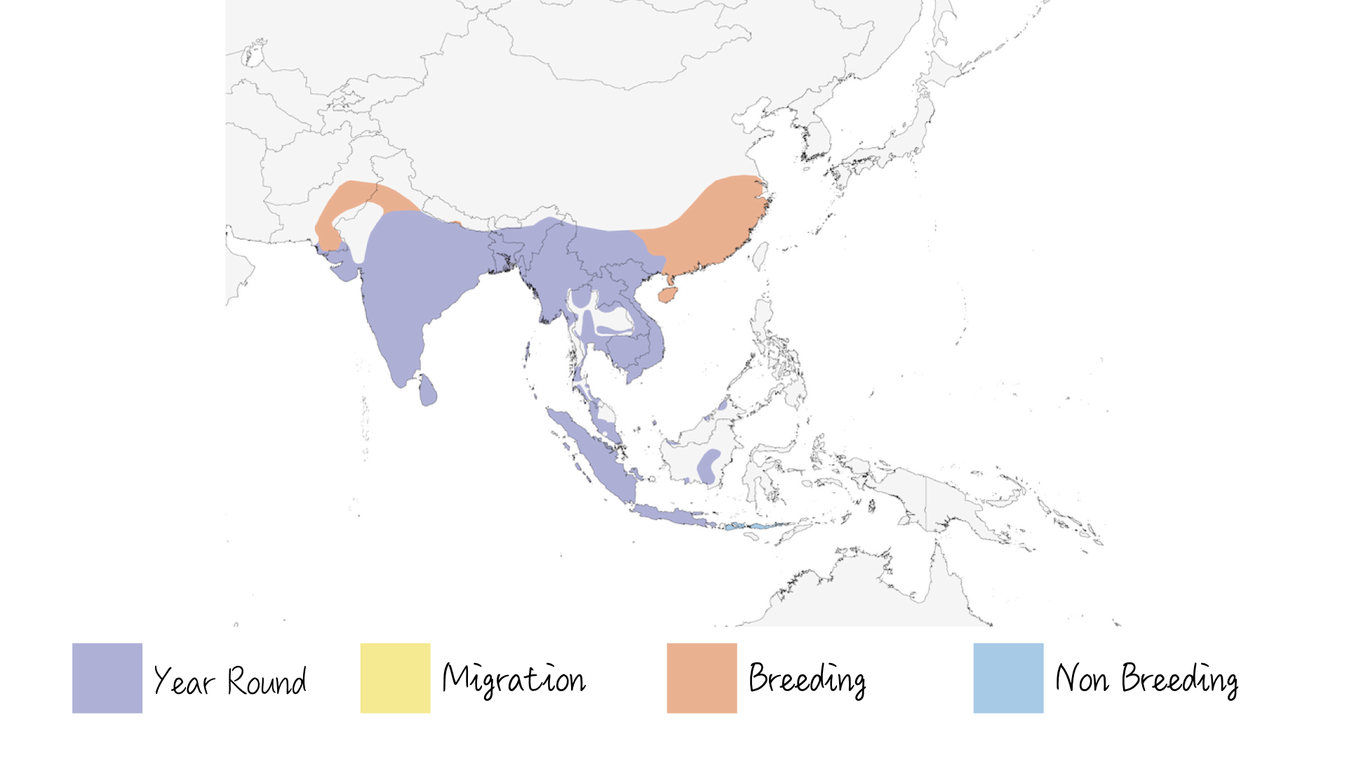 Lesser Whistling Duck - Range & Distribution - WildArtWorks