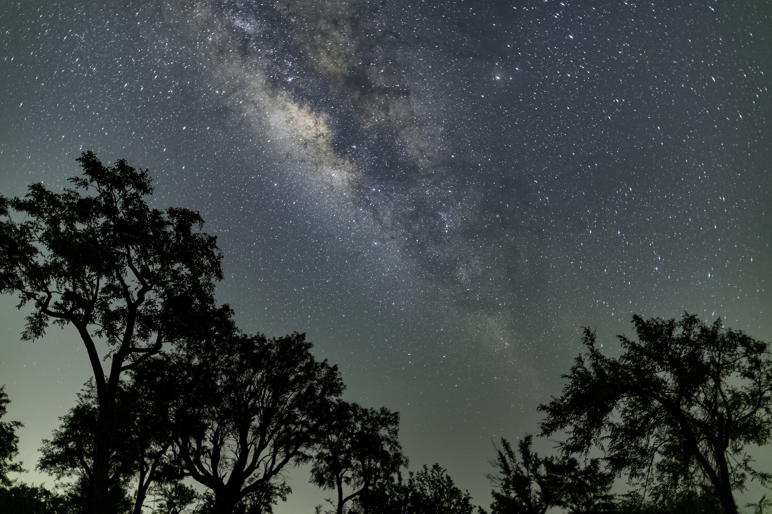 Dark Skies of Amrabad, Amrabad Tiger Reserve