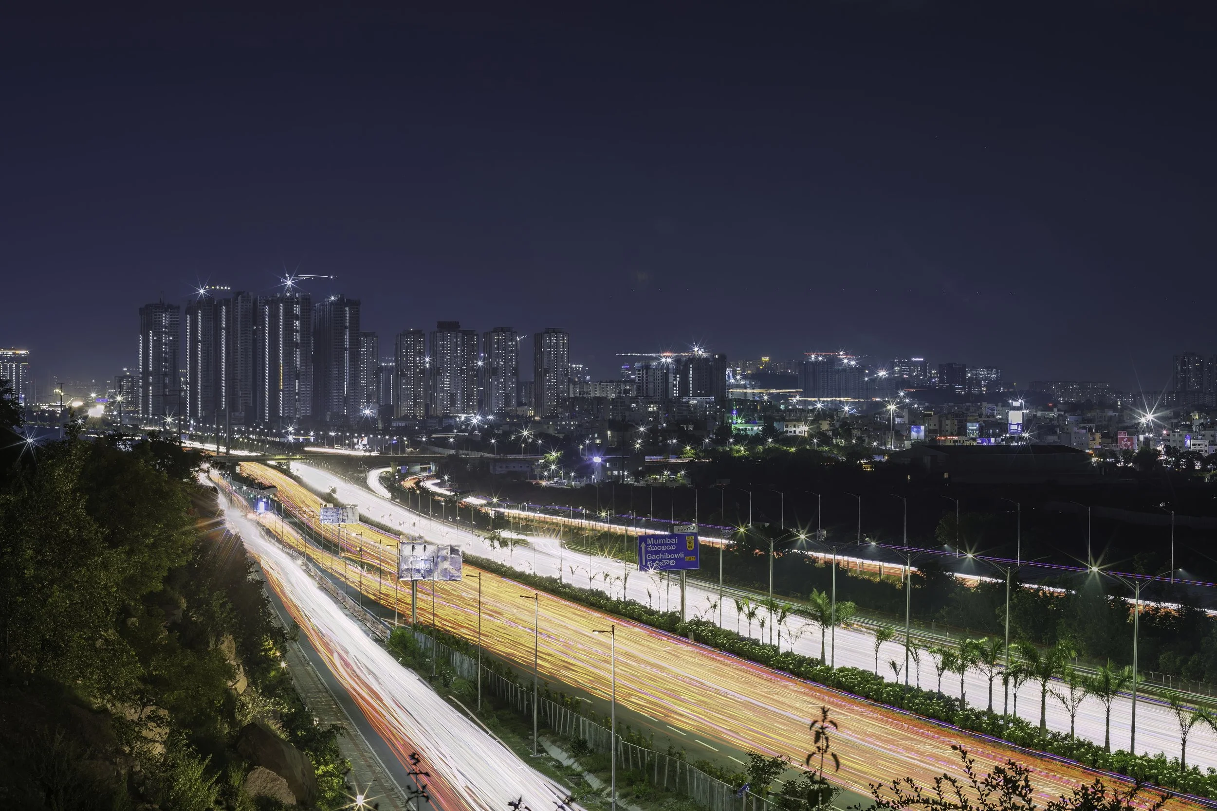 Narsingi Outer Ring Road - Hyderabad - WildArtWorks