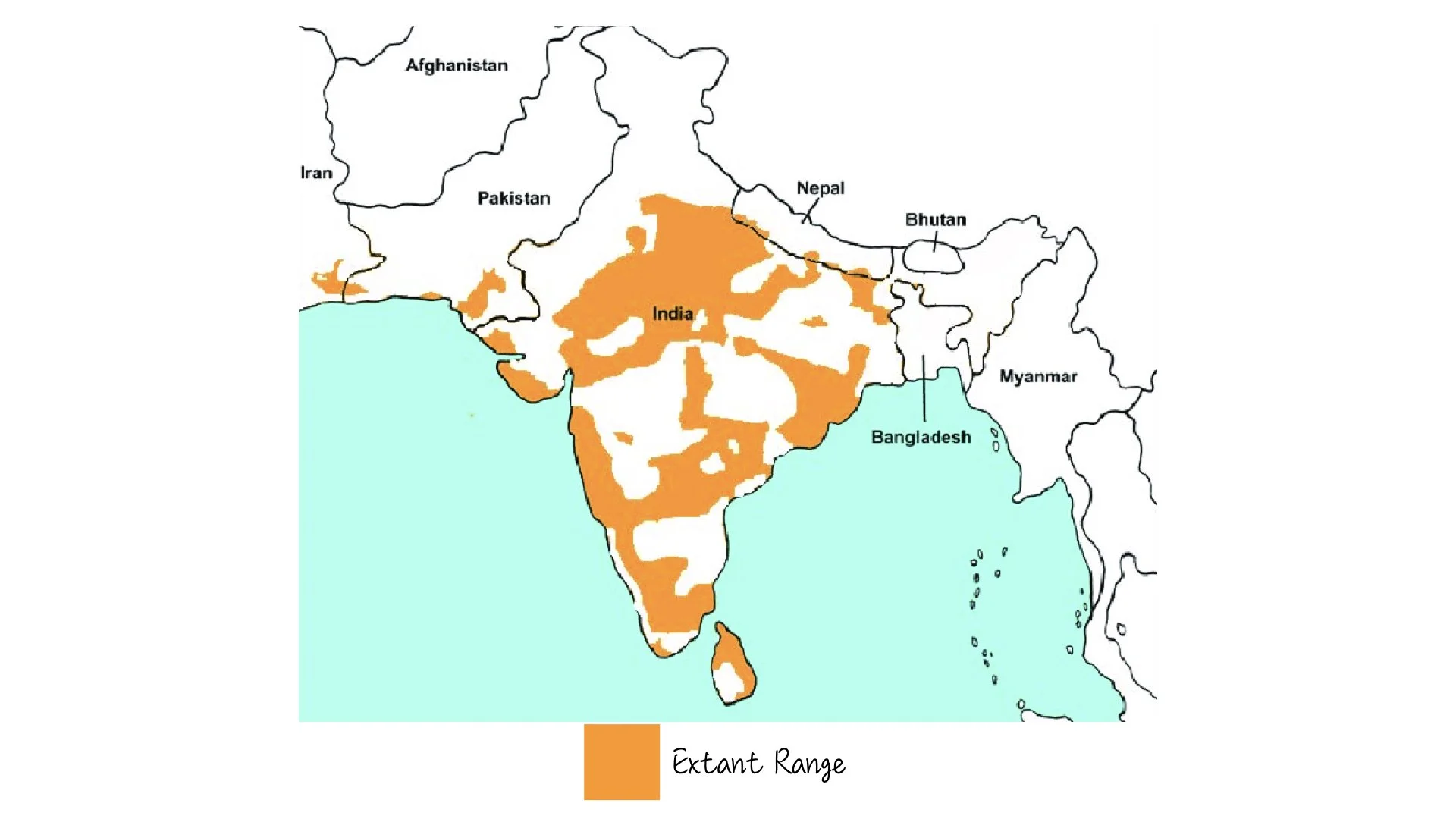 Mugger Crocodile - Range & Distribution - WildArtWorks
