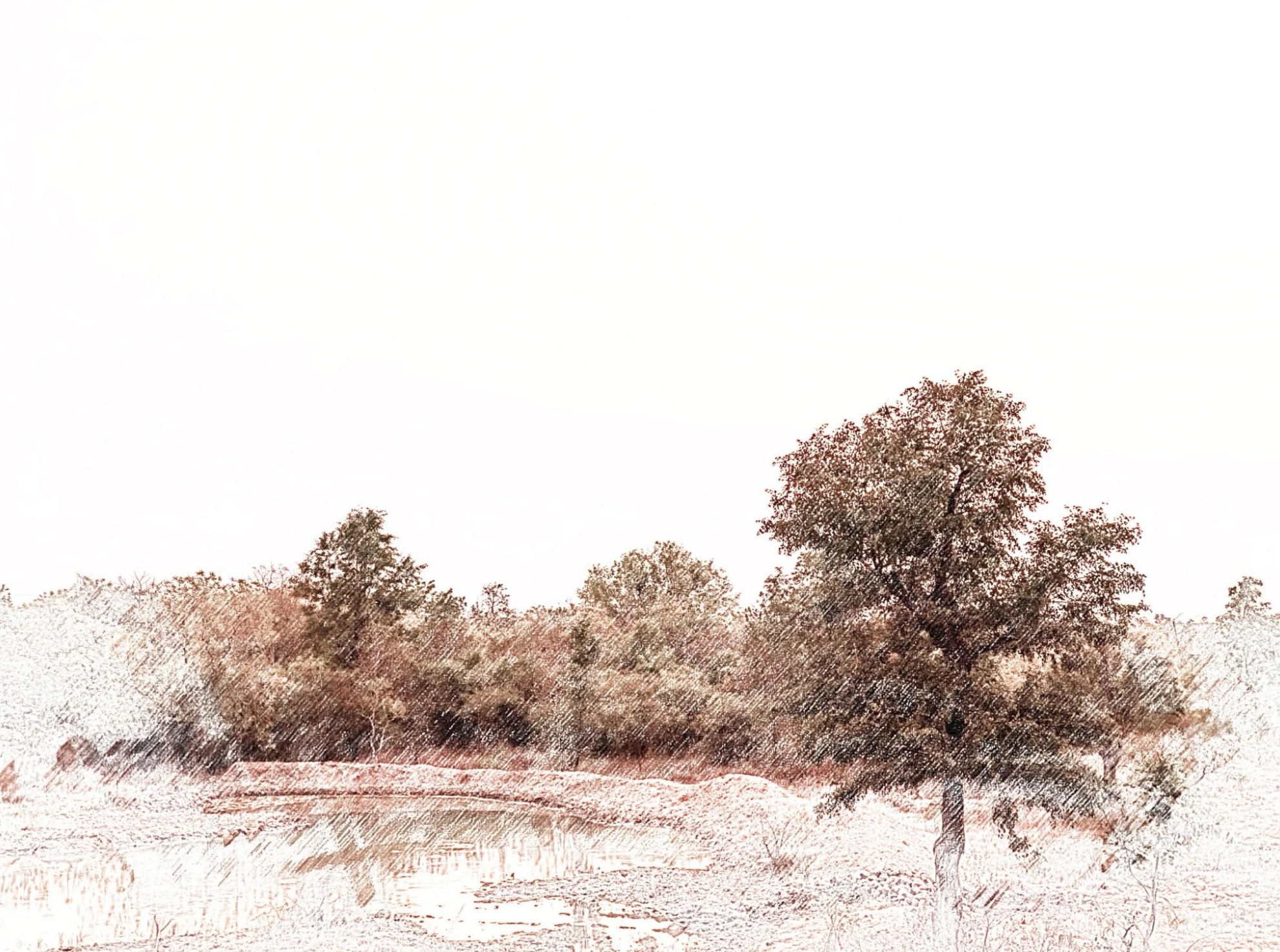 Amrabad - A Cradle of Life - Sketch - WildArtWorks